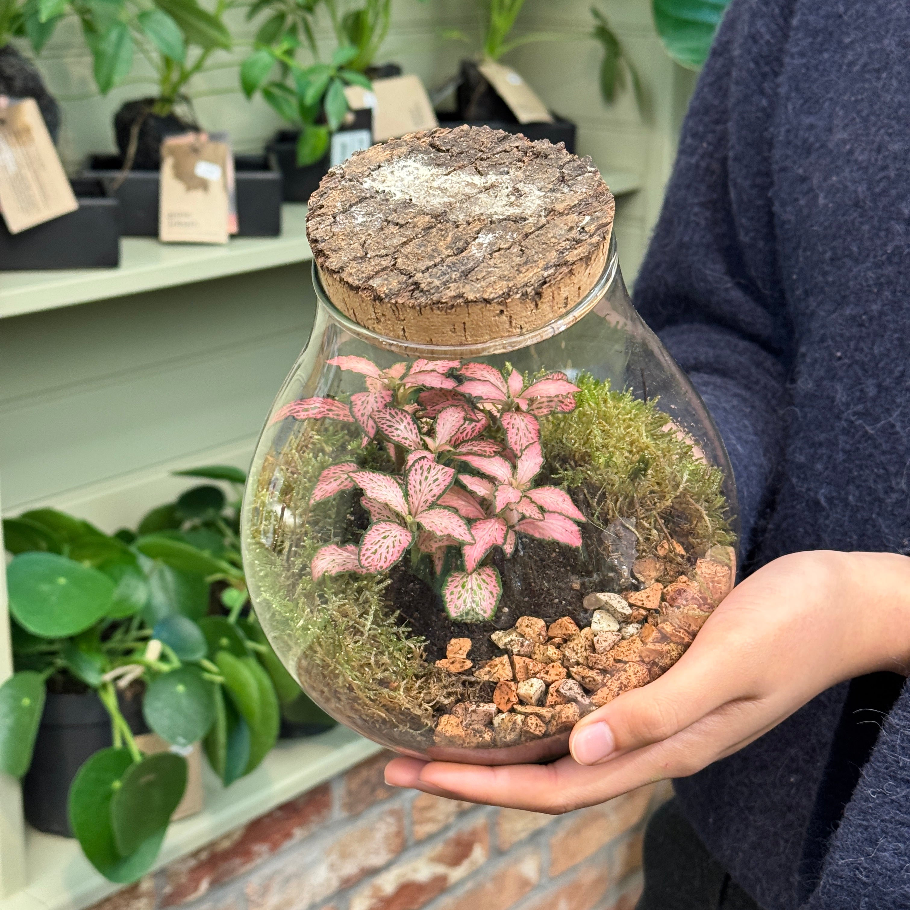 Bulb Terrarium - Aged Cork