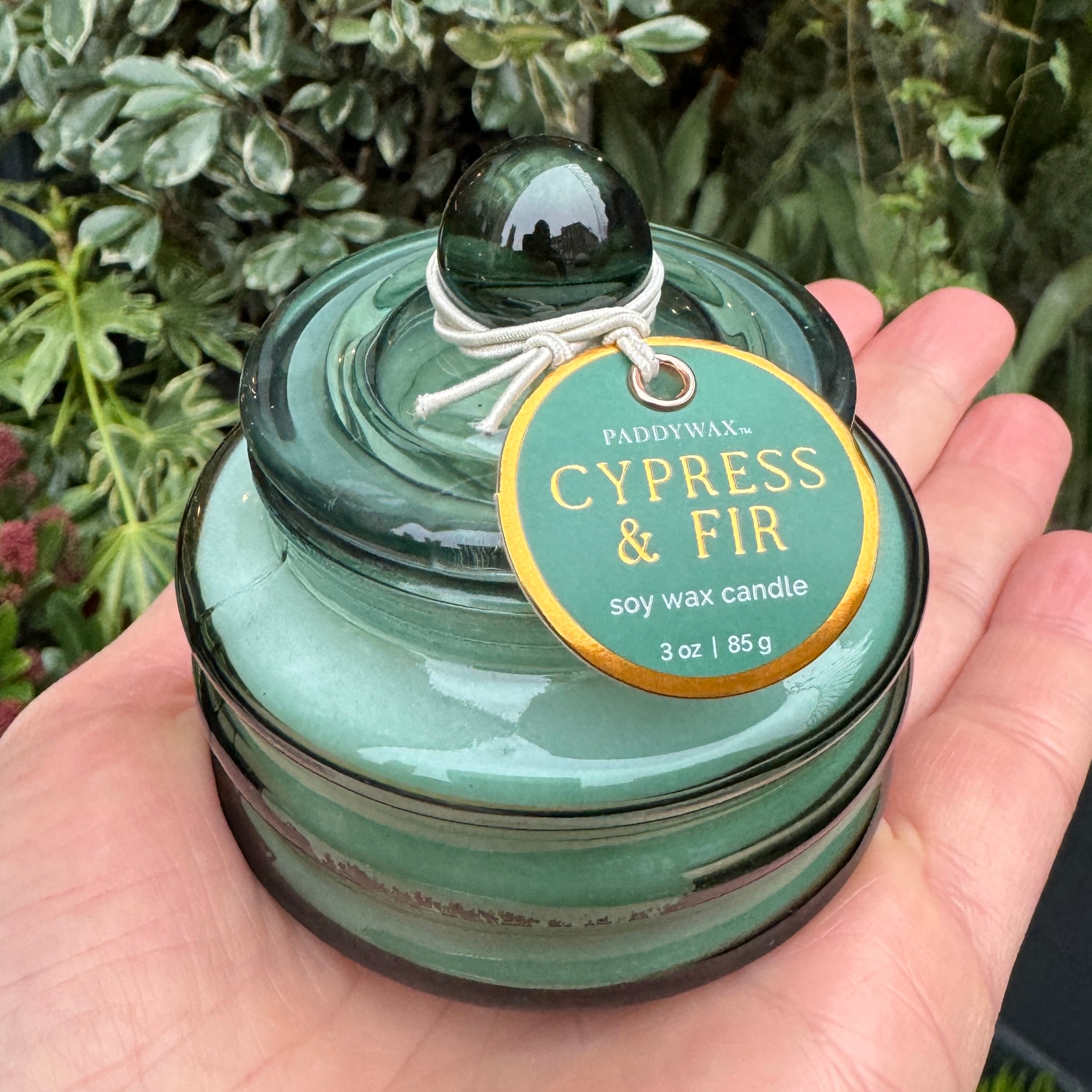 Beam Glass Scented Candles