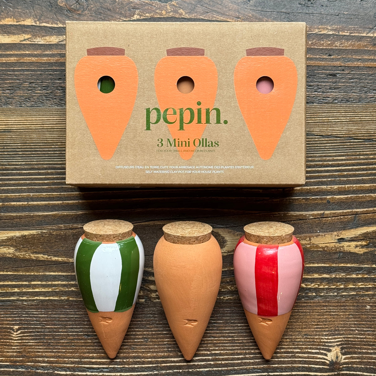 Pepin Trio Striped Mini Ollas | Self-Watering Gift Set