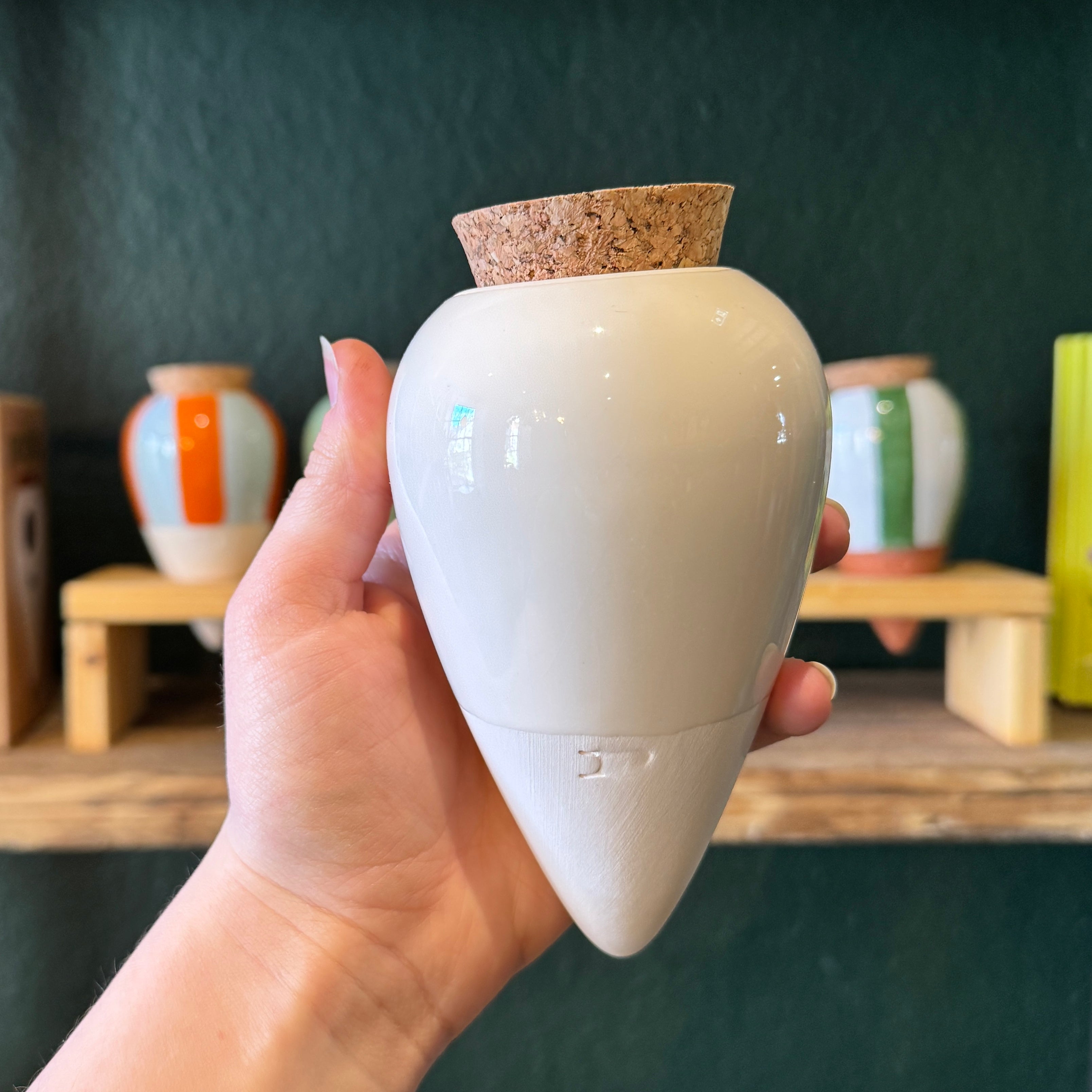 Pepin Ollas | Natural Plant Watering System