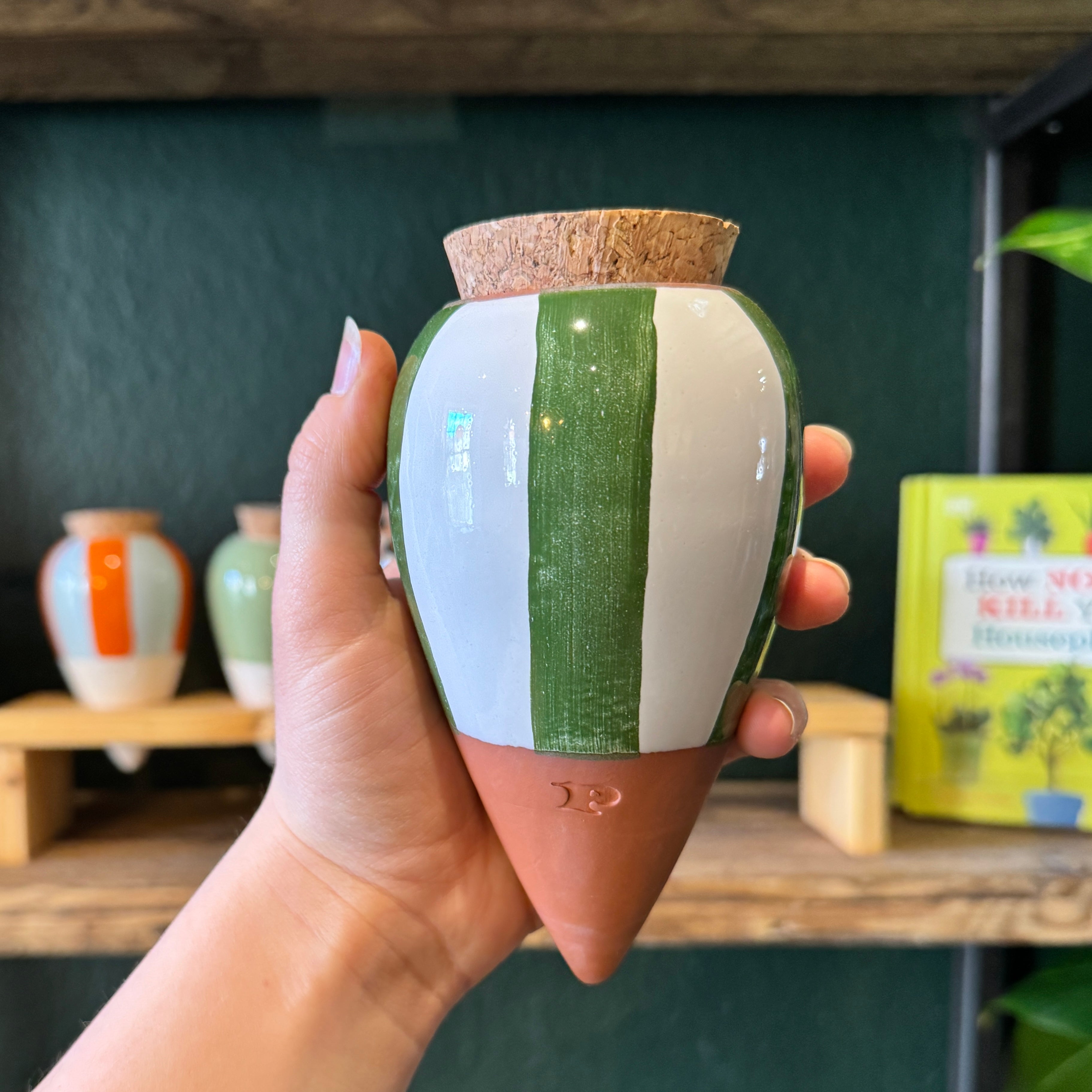 Pepin Ollas | Natural Plant Watering System