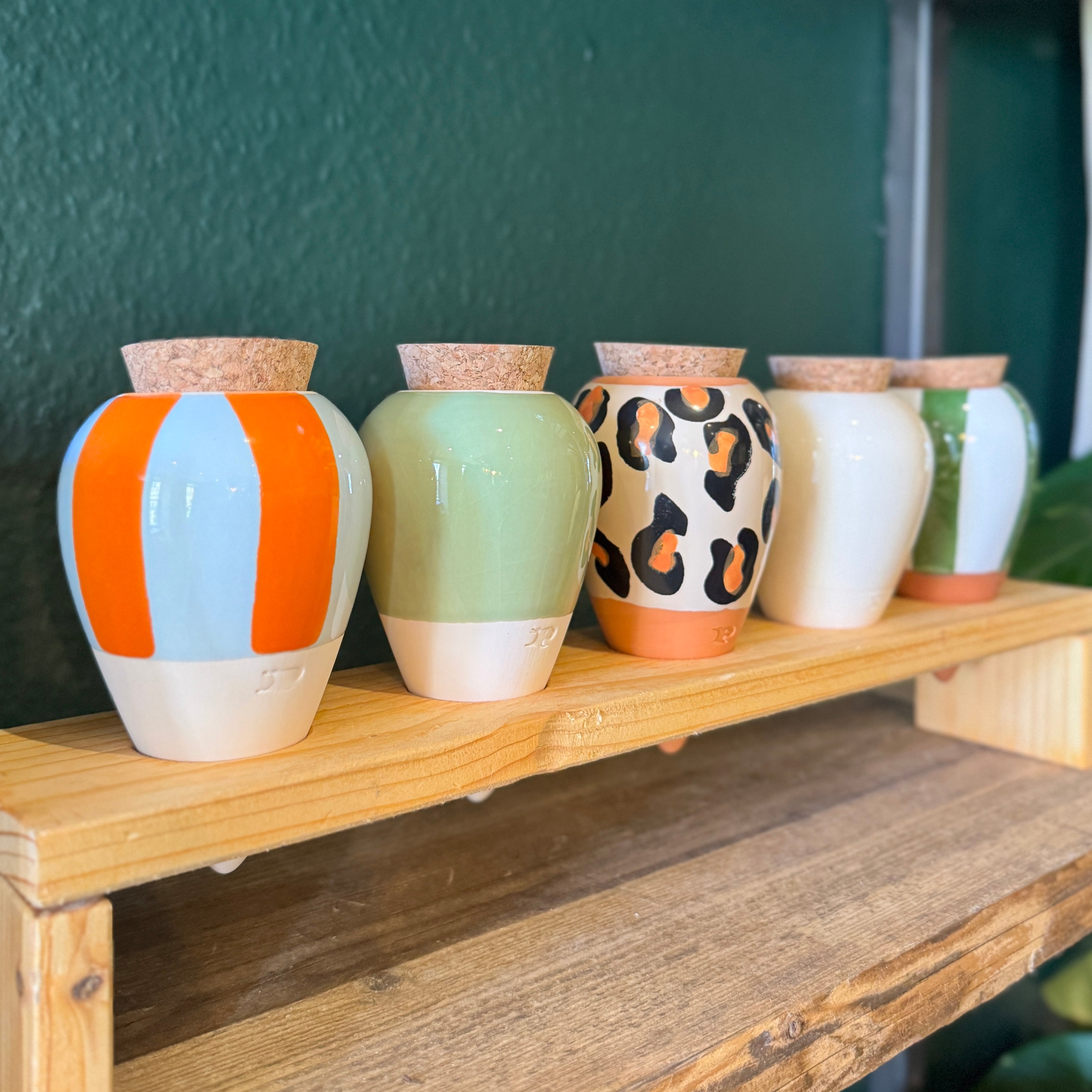 Ollas by Pepin | Natural Plant Watering System