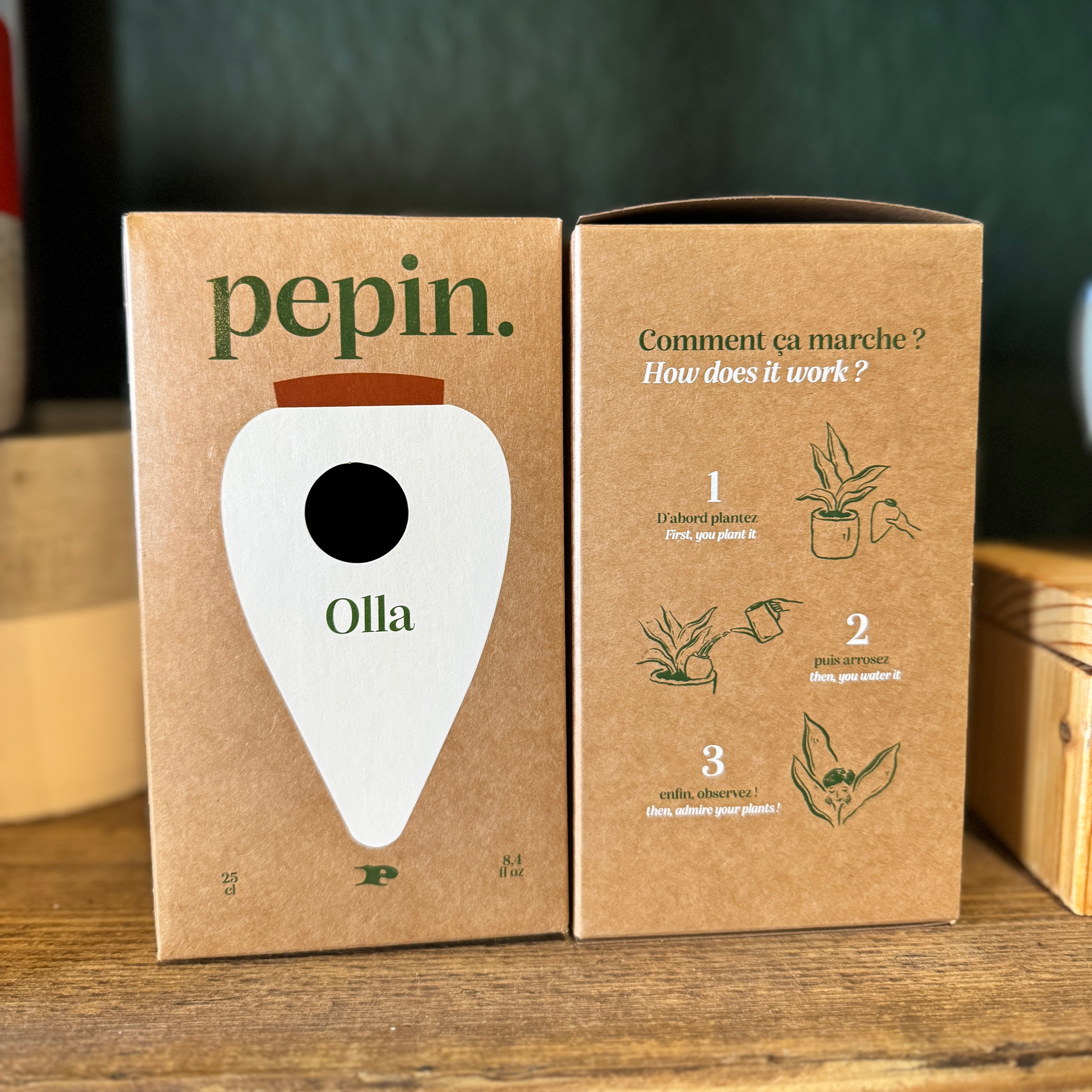 Pepin Ollas | Natural Plant Watering System