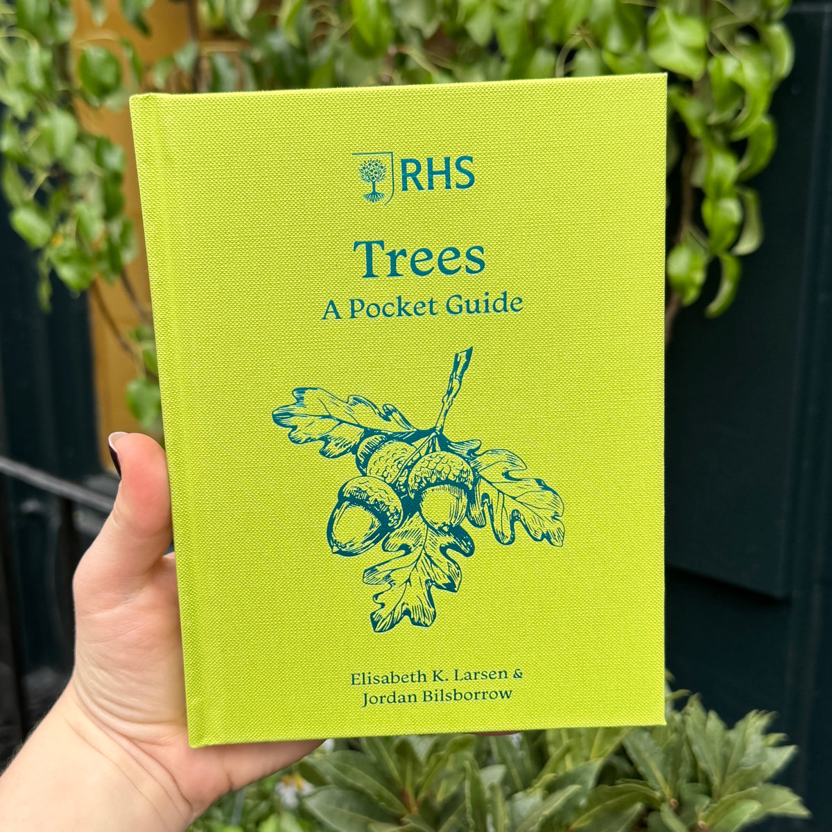 Trees: A Pocket Guide (RHS)