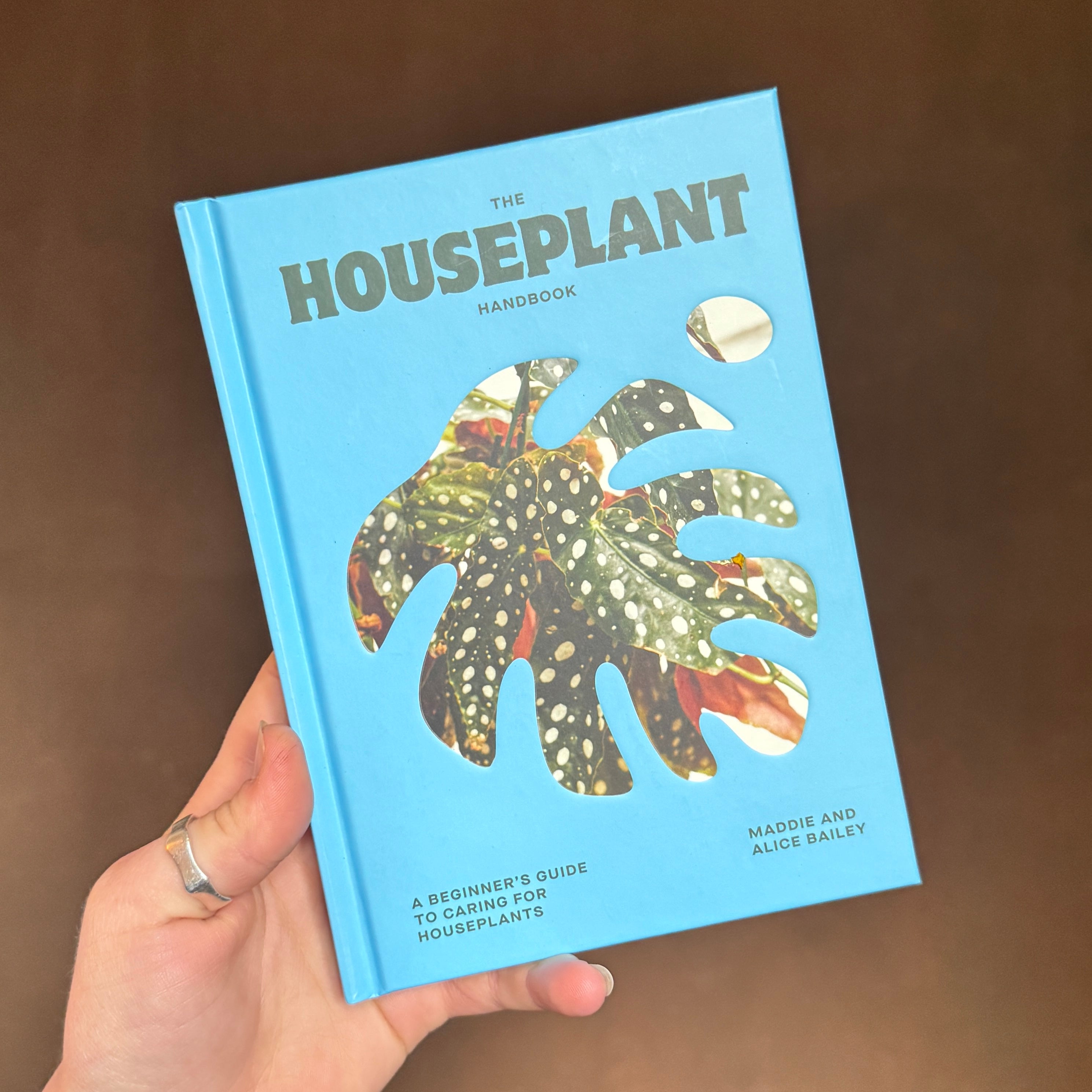 The Houseplant Handbook: A Beginner’s Guide to Caring for Houseplants