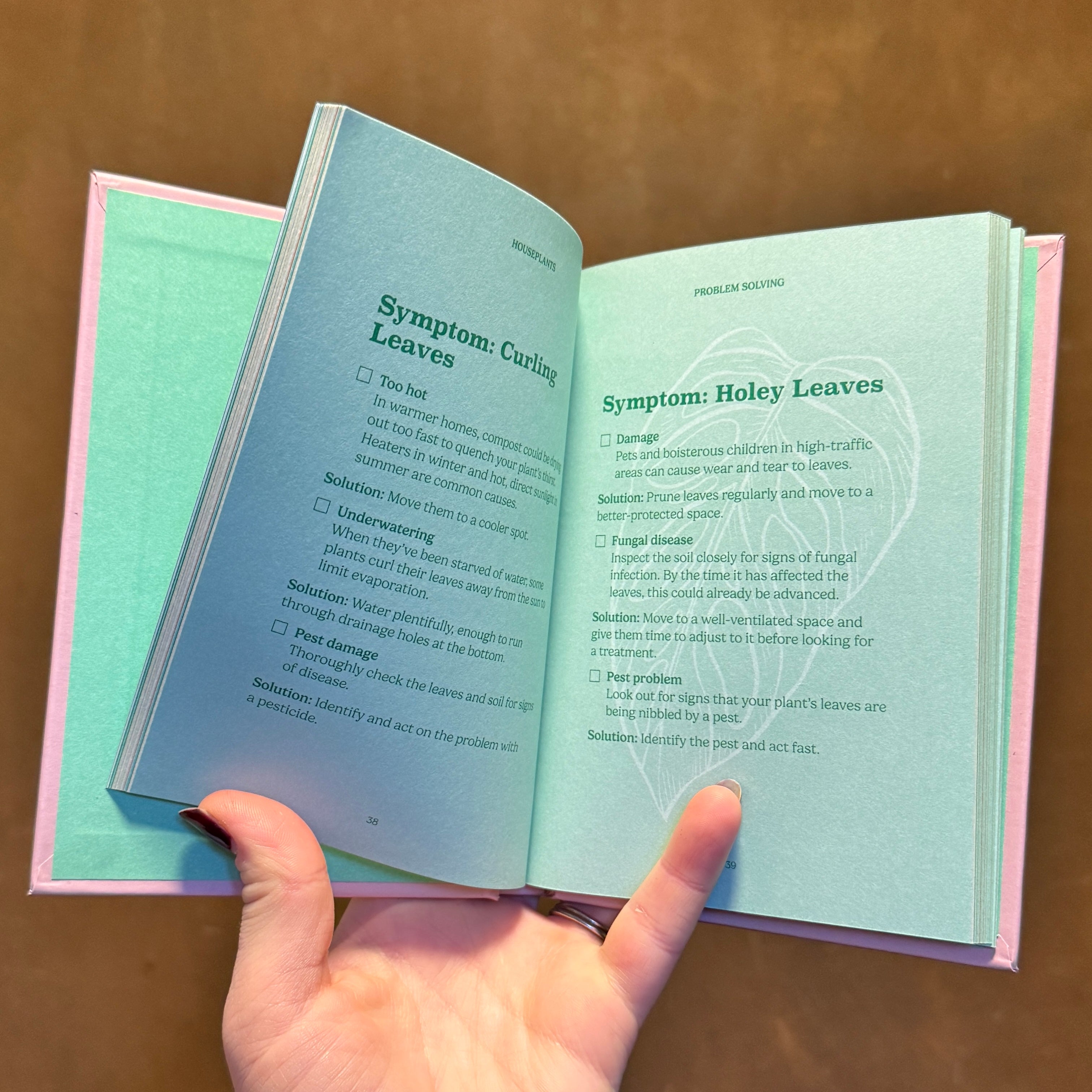 The Pocket Houseplants