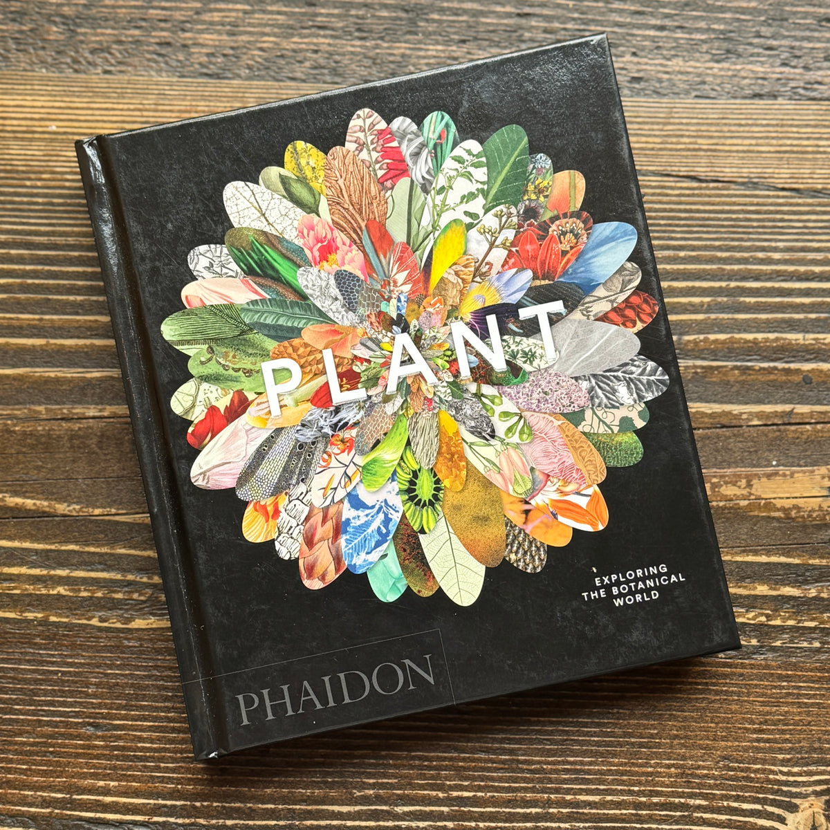 Plant: Exploring the Botanical World (Compact Edition)