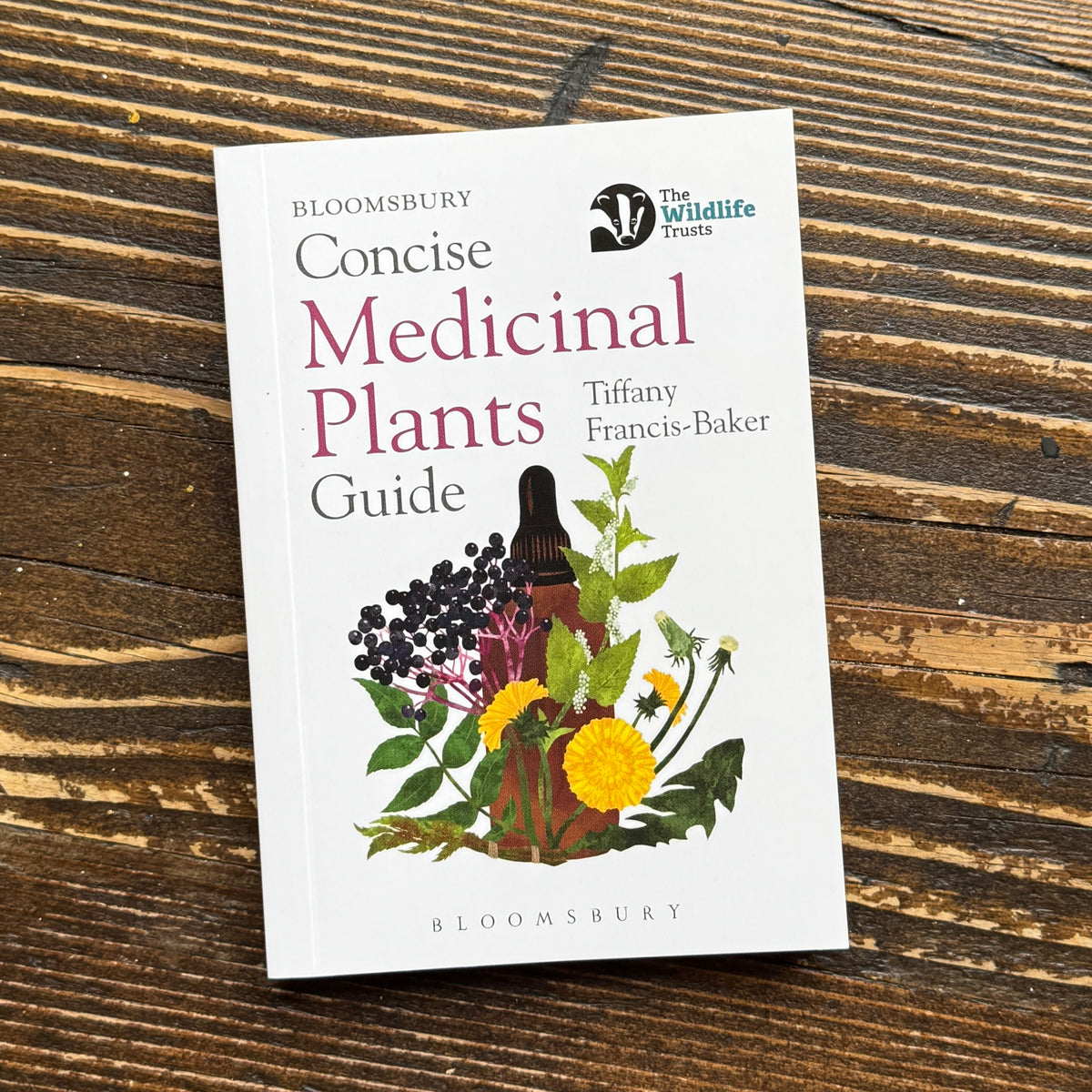 Concise Medicinal Plants Guide