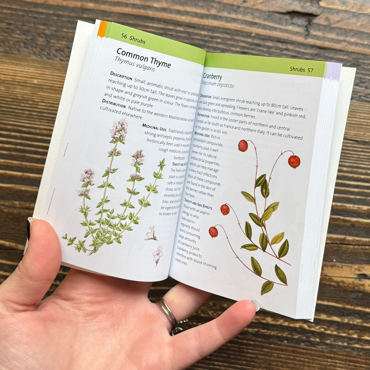 Concise Medicinal Plants Guide