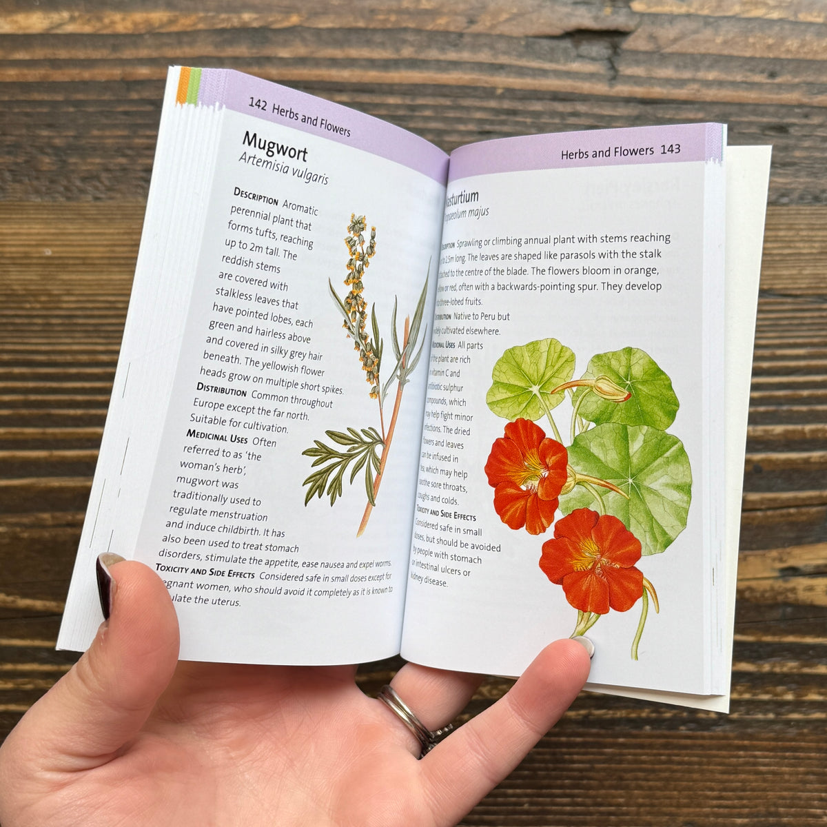 Concise Medicinal Plants Guide