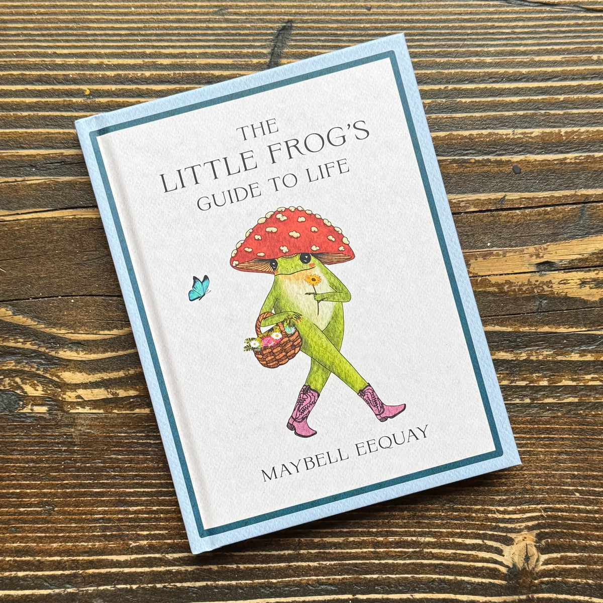 The Little Frog's Guide to Life