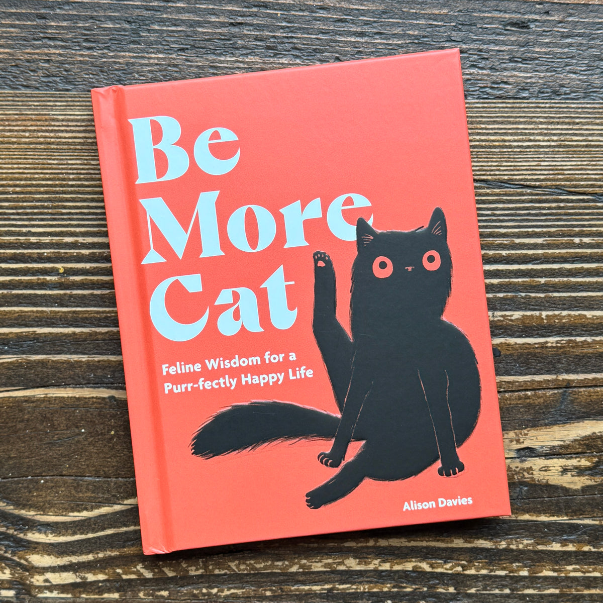 Be More Cat