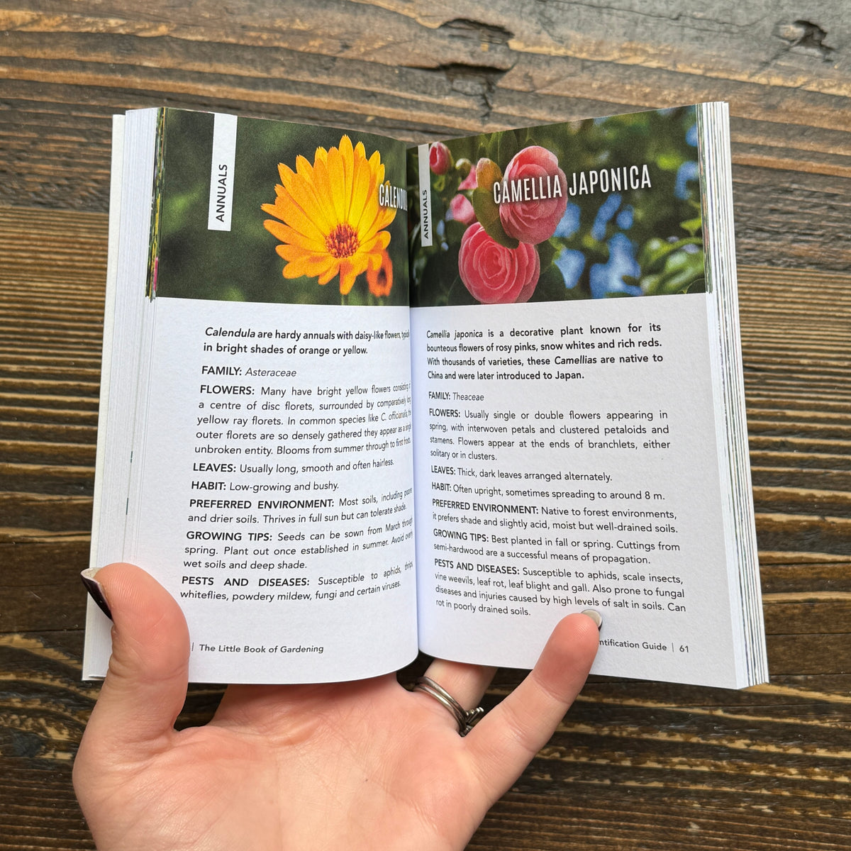 The Little Book of Gardening
