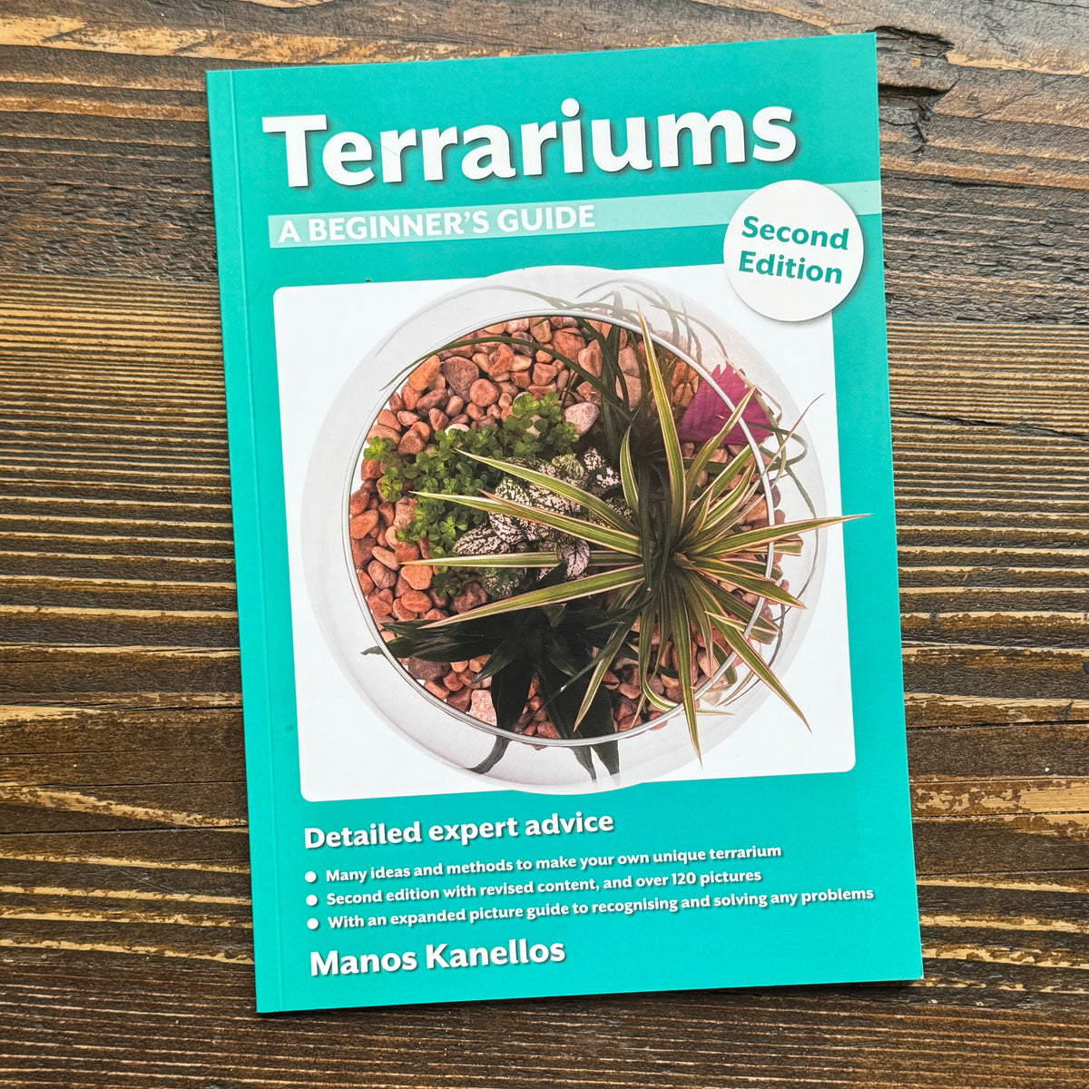 Terrariums: A Beginner's Guide