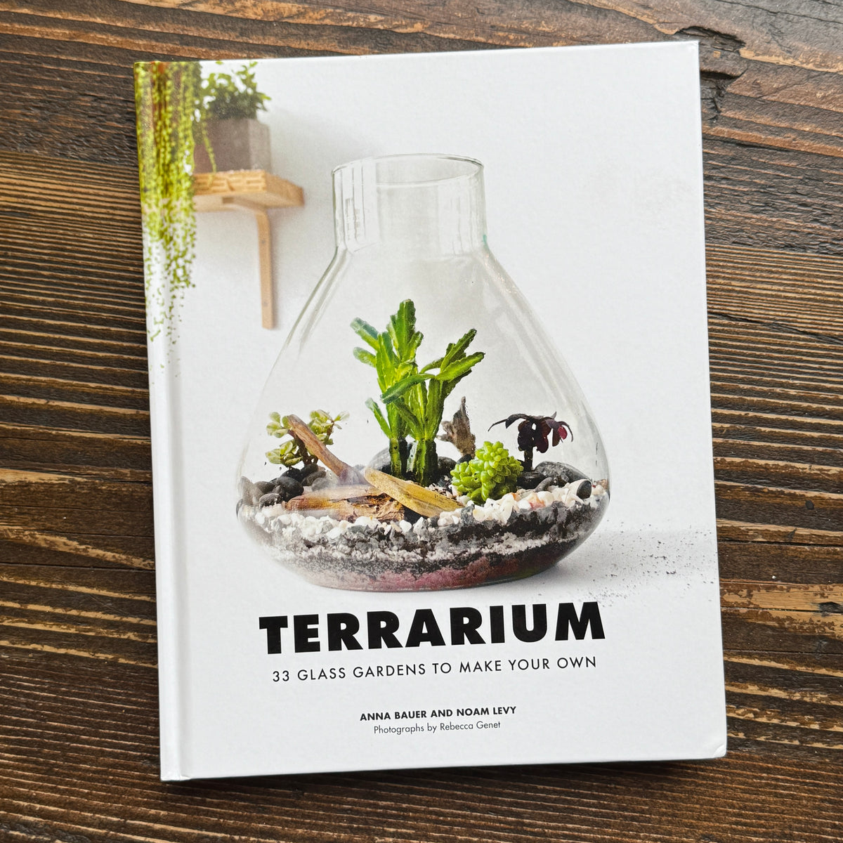 Terrarium: 33 Glass Gardens to Make Your Own