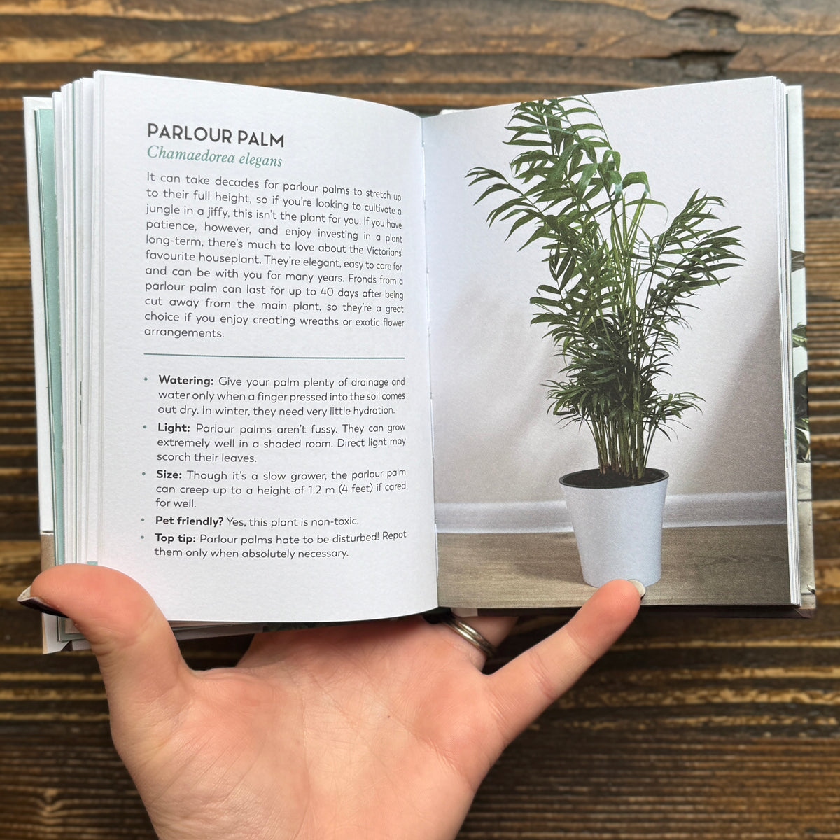 The Little Book for Plant Parents