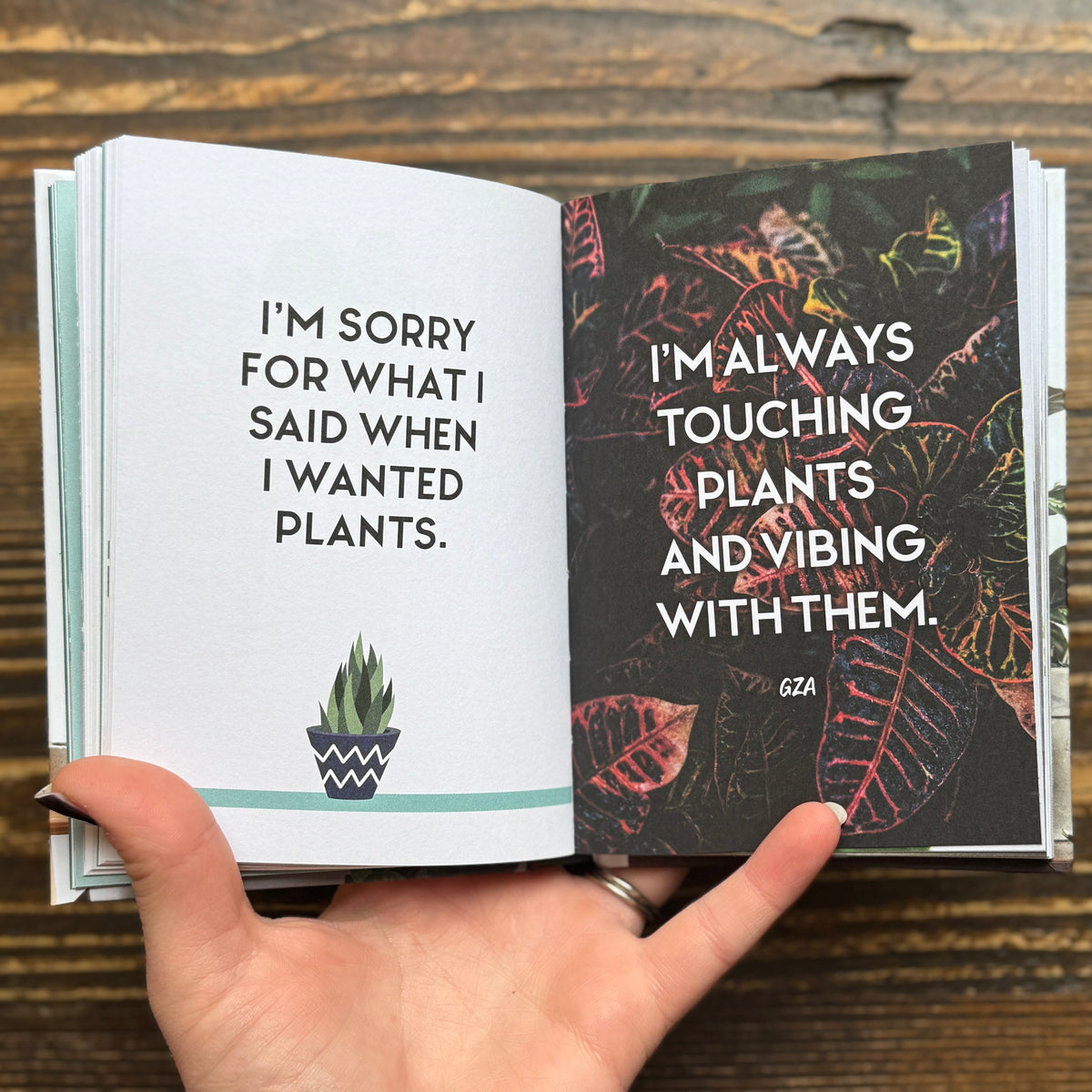 The Little Book for Plant Parents
