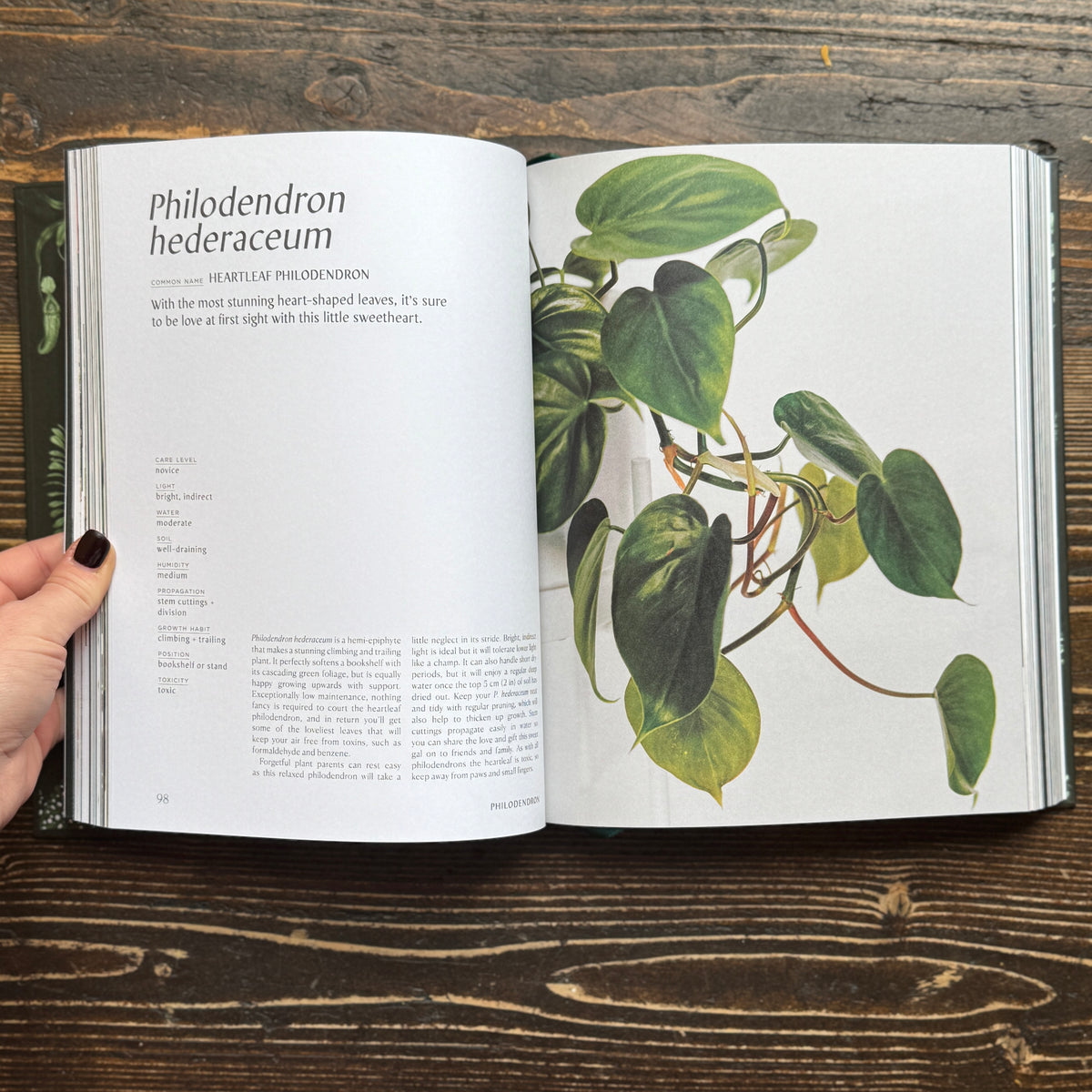Plantopedia