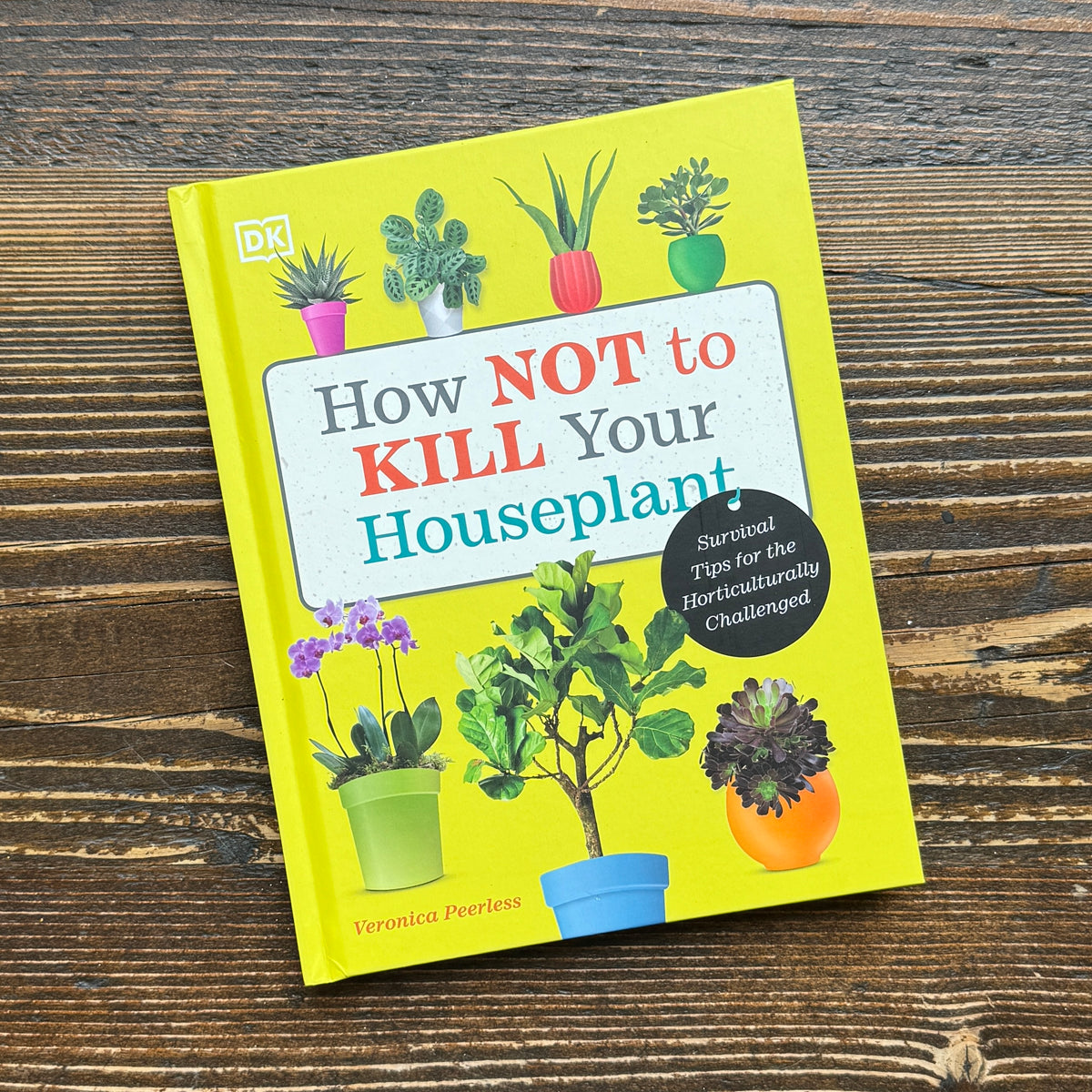 How Not to Kill Your Houseplant