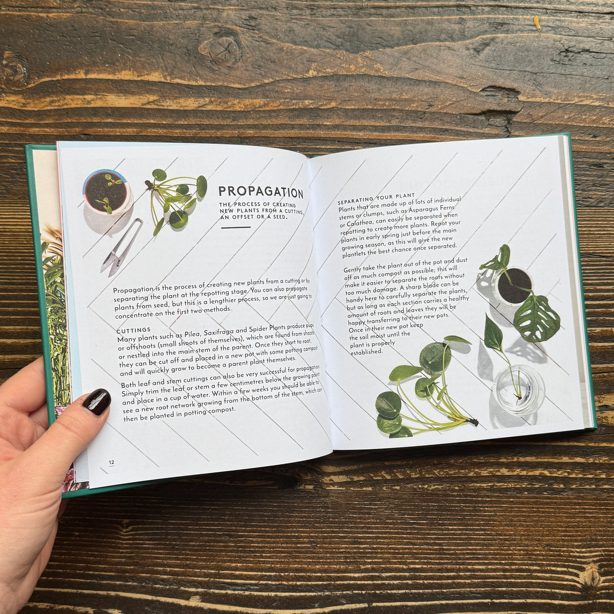 The Little Book of House Plants & Other Greenery