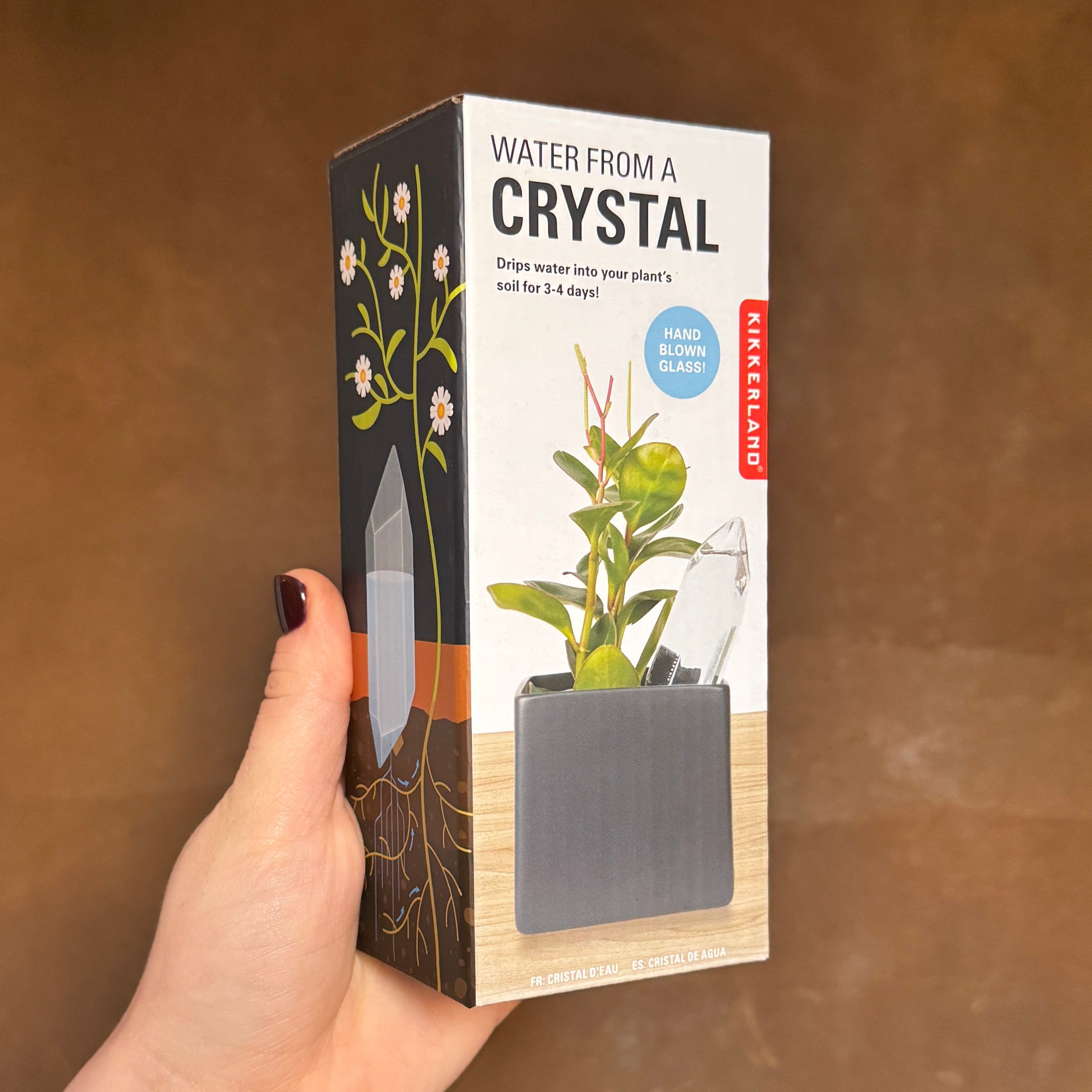 Water From a Crystal – Plant Watering Tool