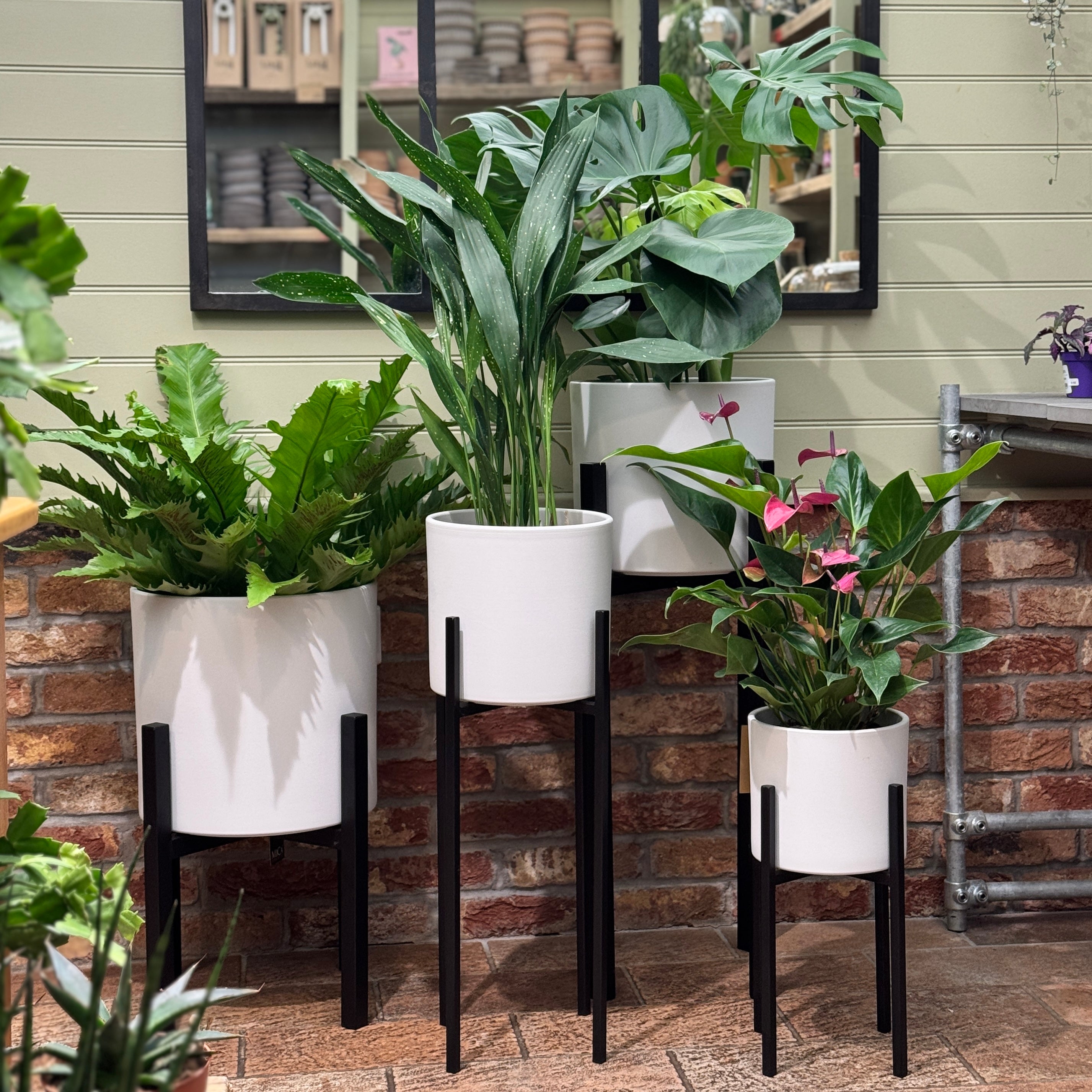 Black Indoor Plant Stand