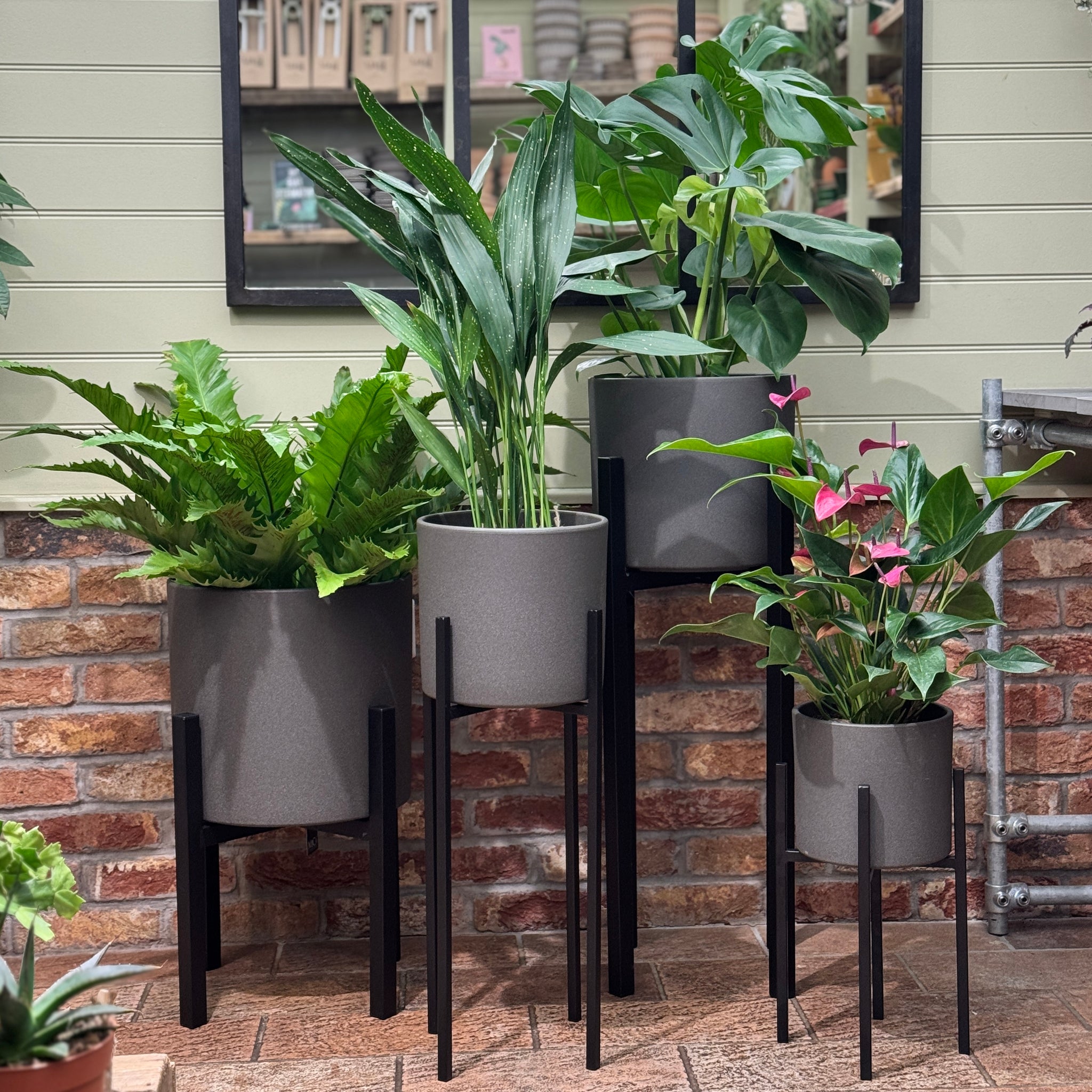 black indoor plant stand Ascot Black Metal Plant Stand | Indoor Plant Stands