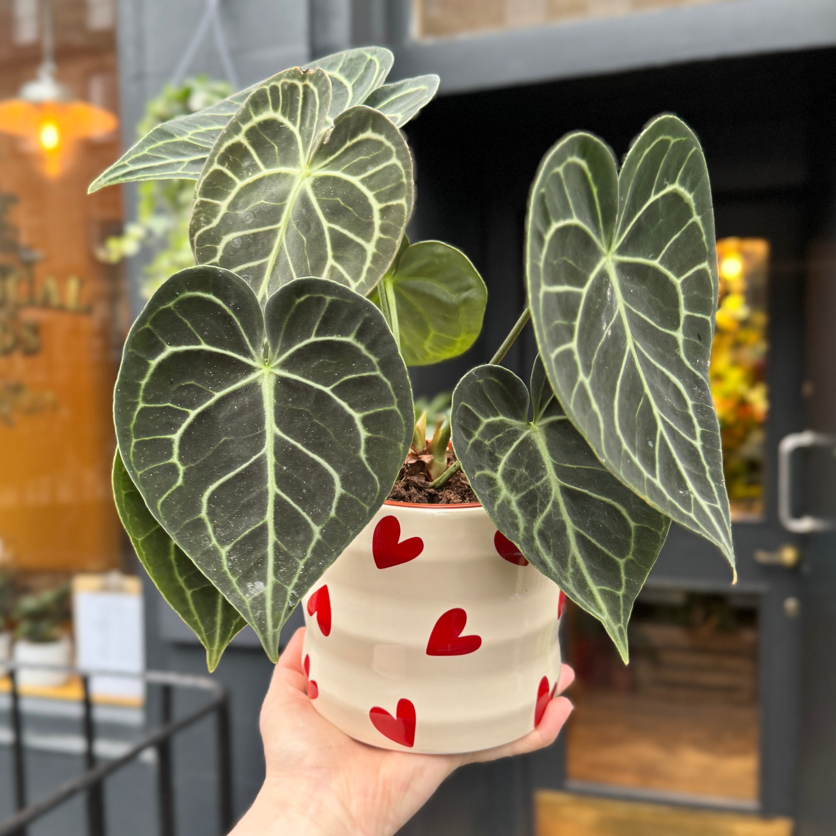 White Ceramic Hearts Plant Pot – Limited Edition