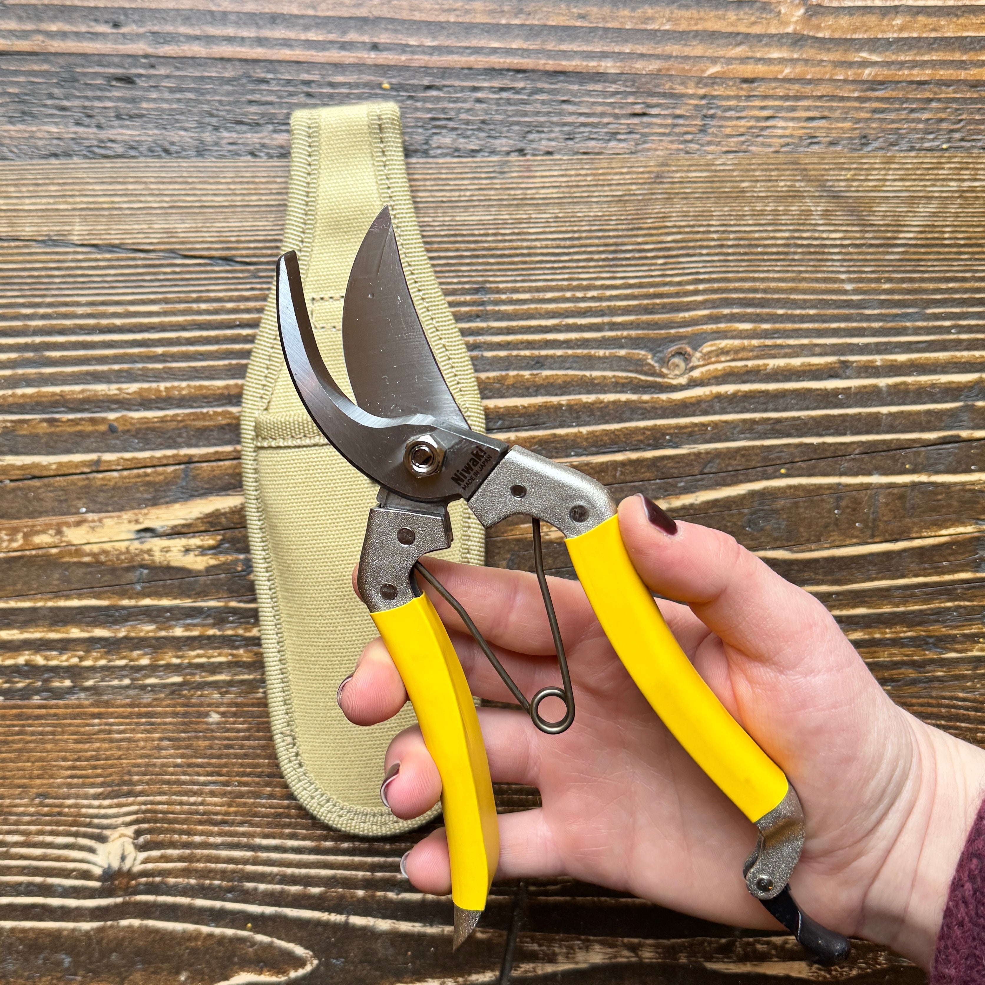 Niwaki Daikiba Secateurs with Canvas Holster