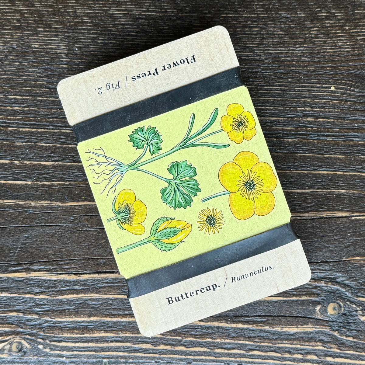 Pocket Flower Press – Vintage Buttercup | Studio Wald