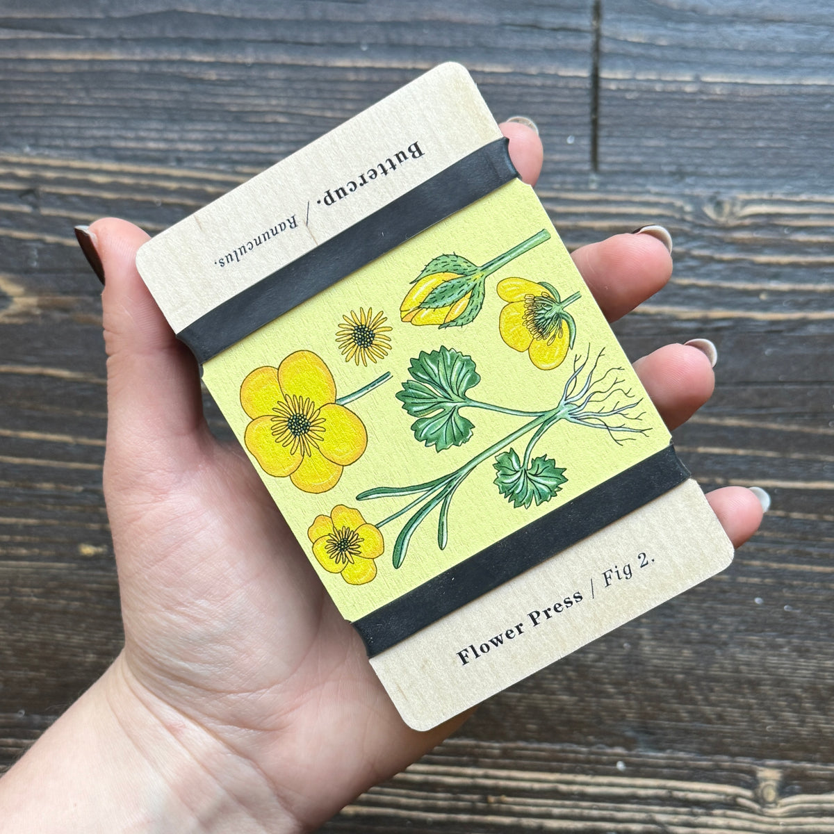 Pocket Flower Press – Vintage Buttercup | Studio Wald