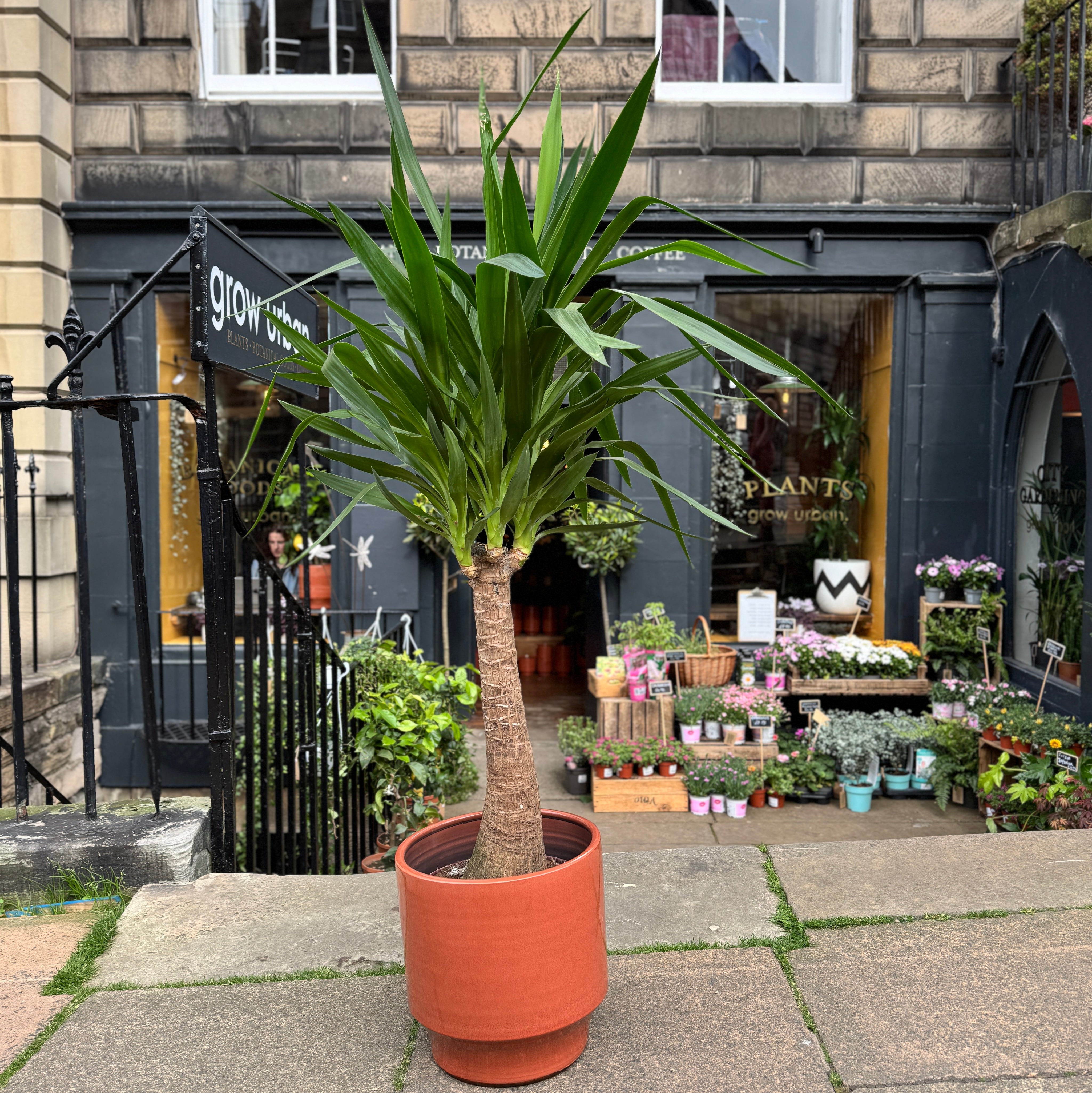 Sophie Pot - Burnt Orange | 33cm