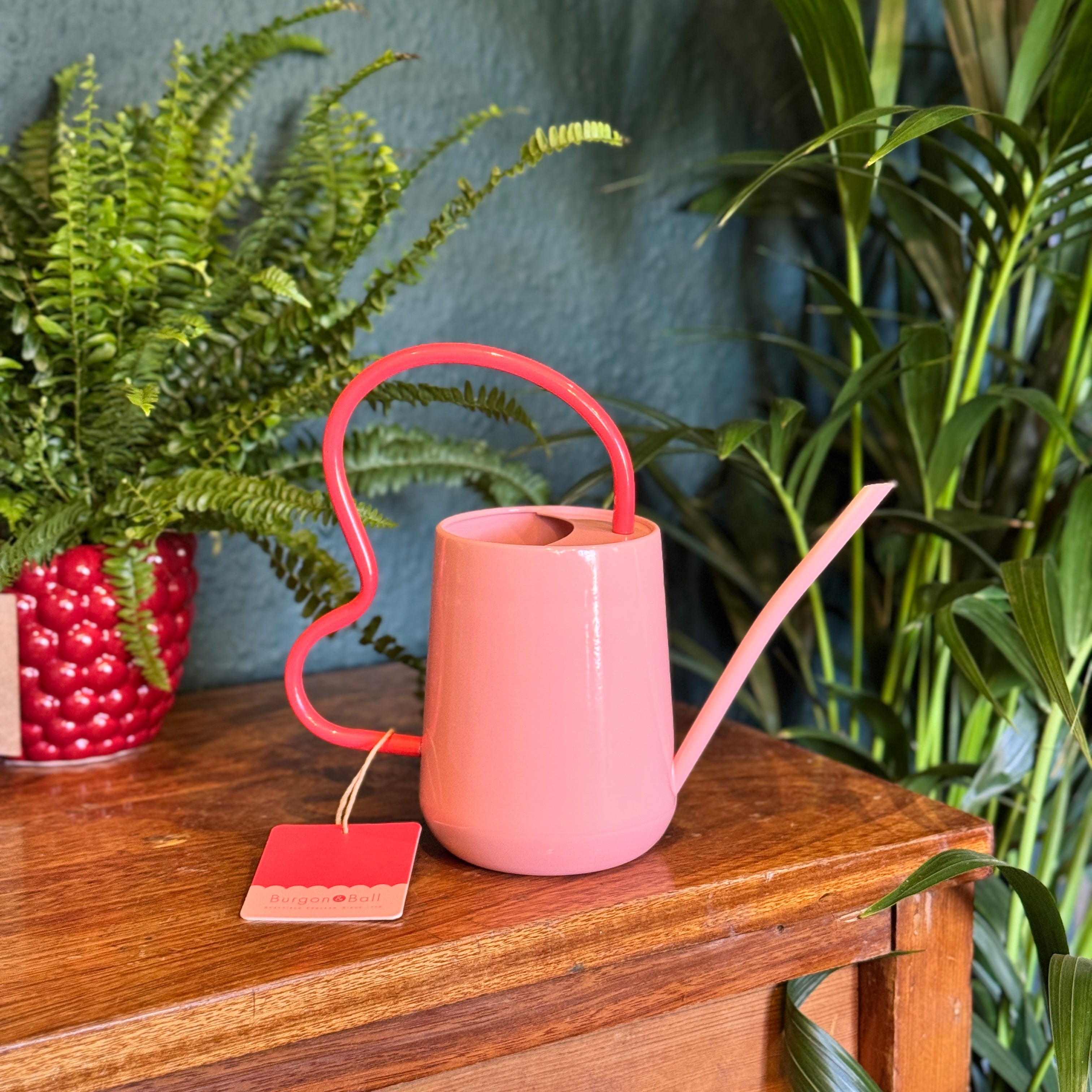 Indoor Watering Can - Scalloped Blush Pink