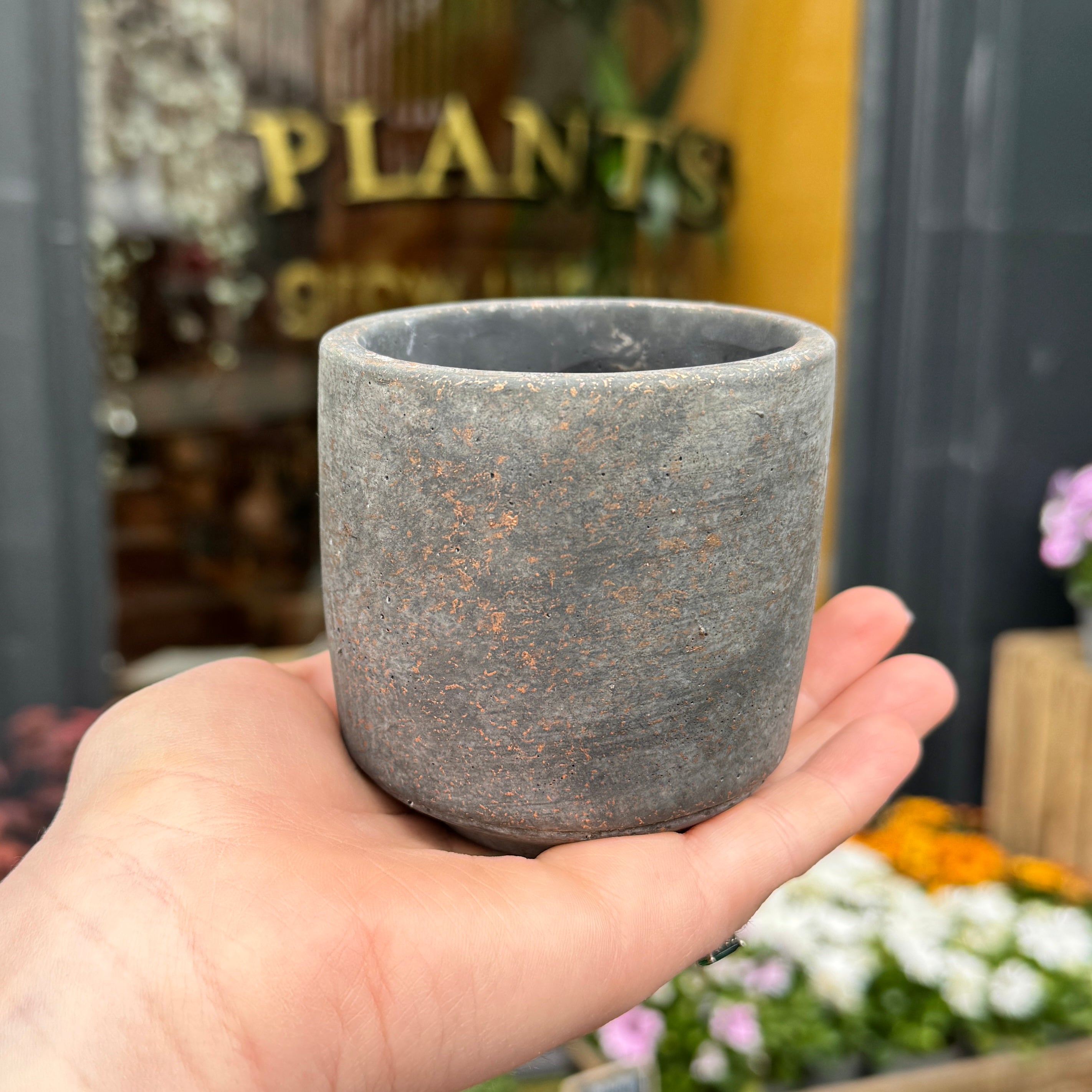 Cement Pot - Dark | 8cm