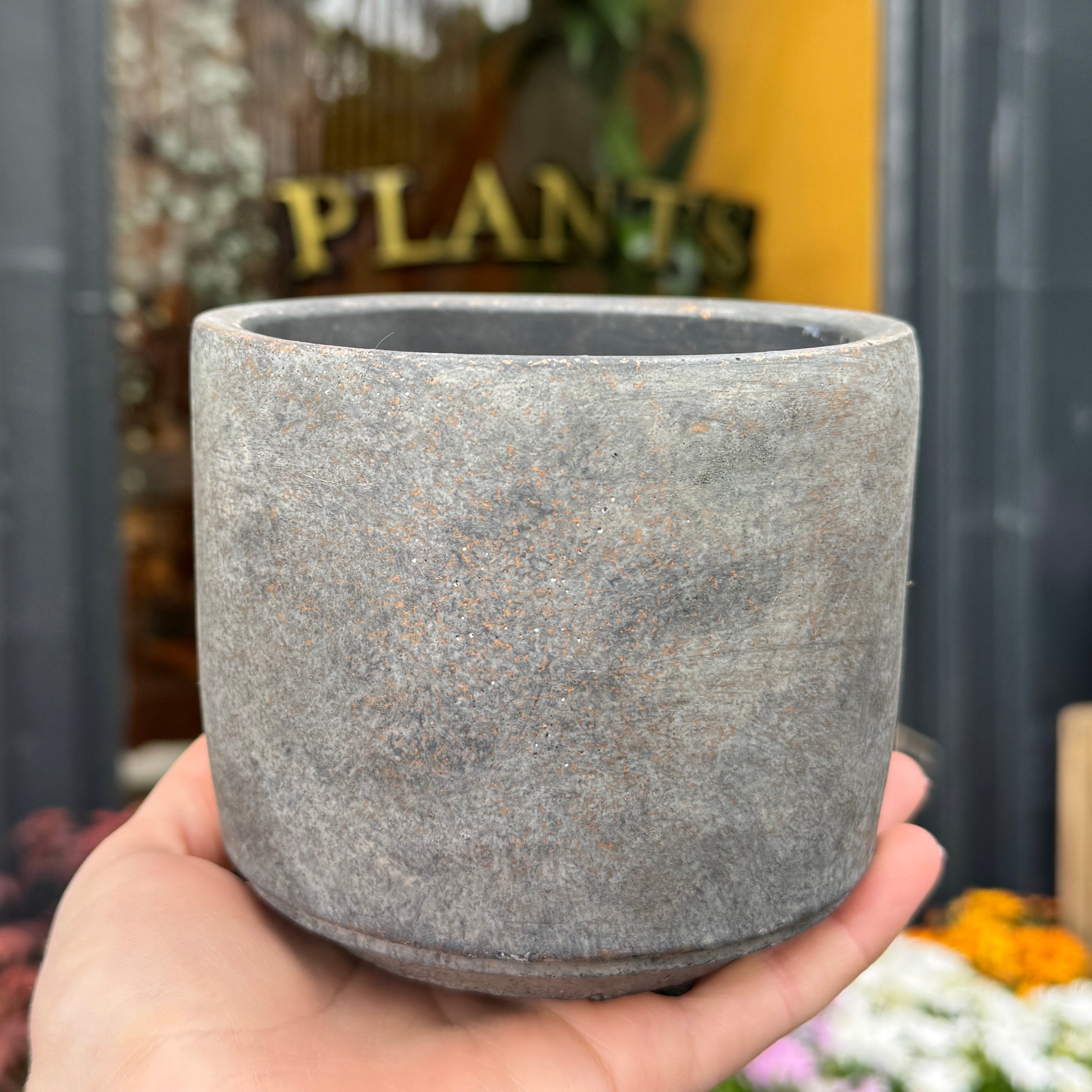 Cement Pot - Dark | 12cm