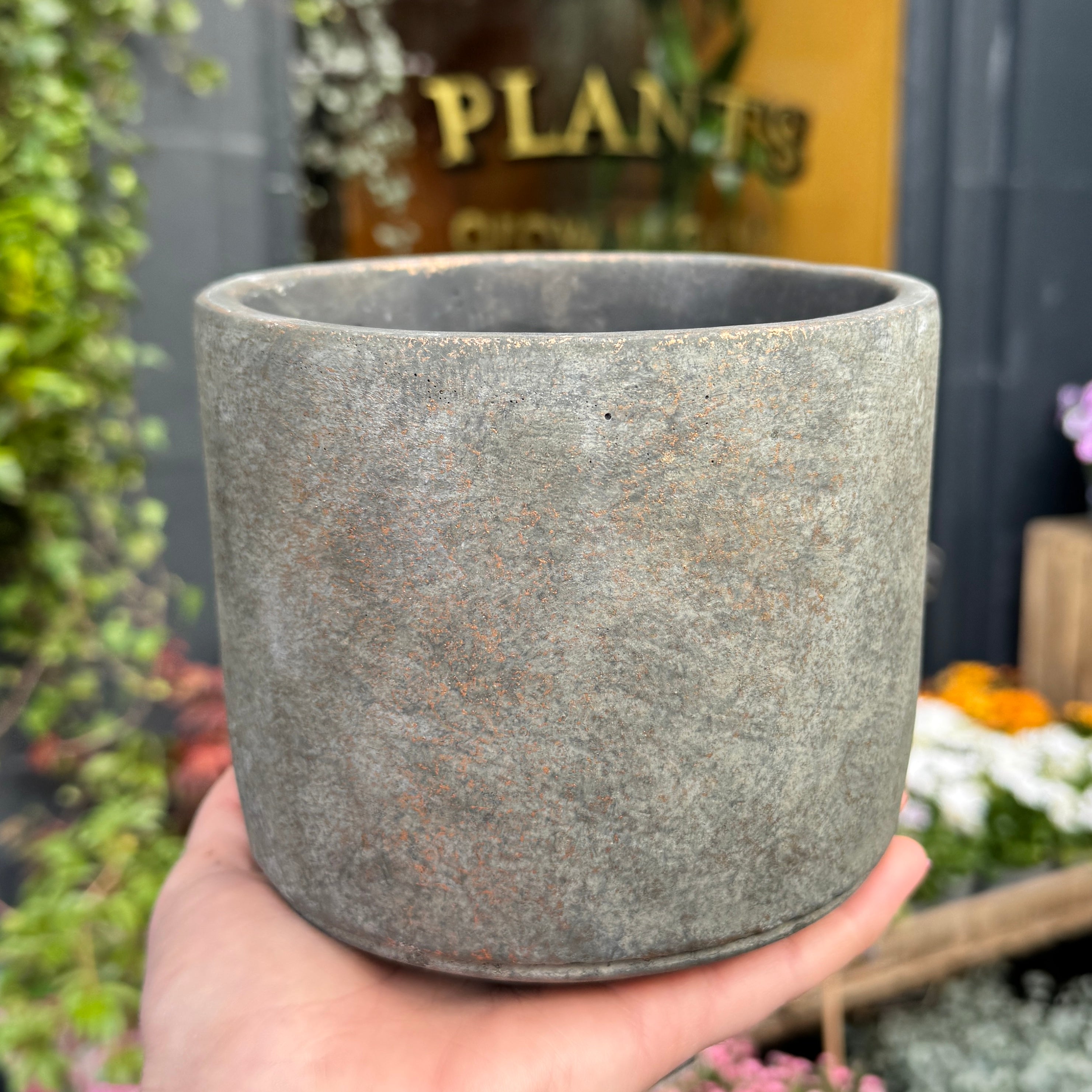 Cement Pot - Dark | 14cm