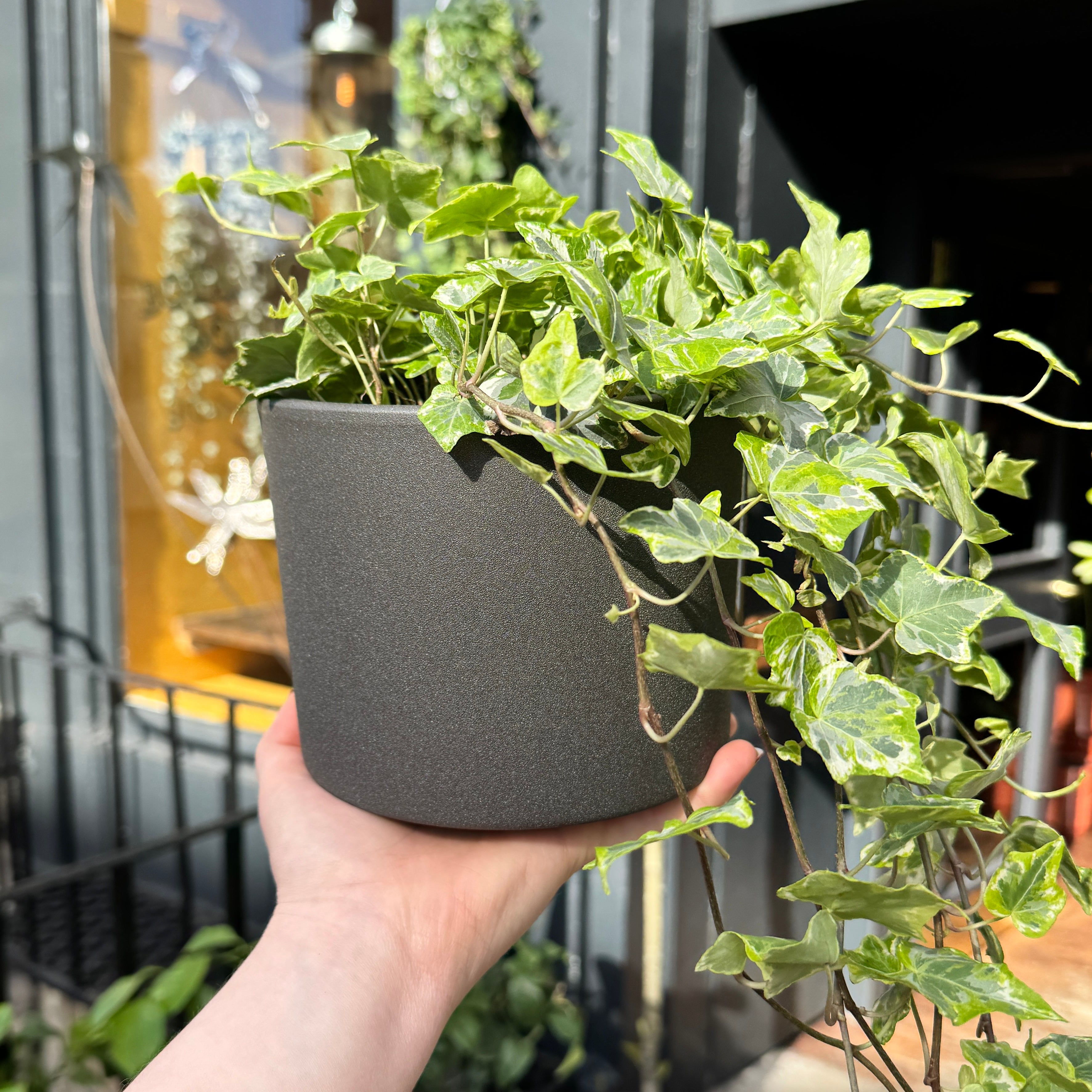 Matt Pot - Dark Grey | 15cm