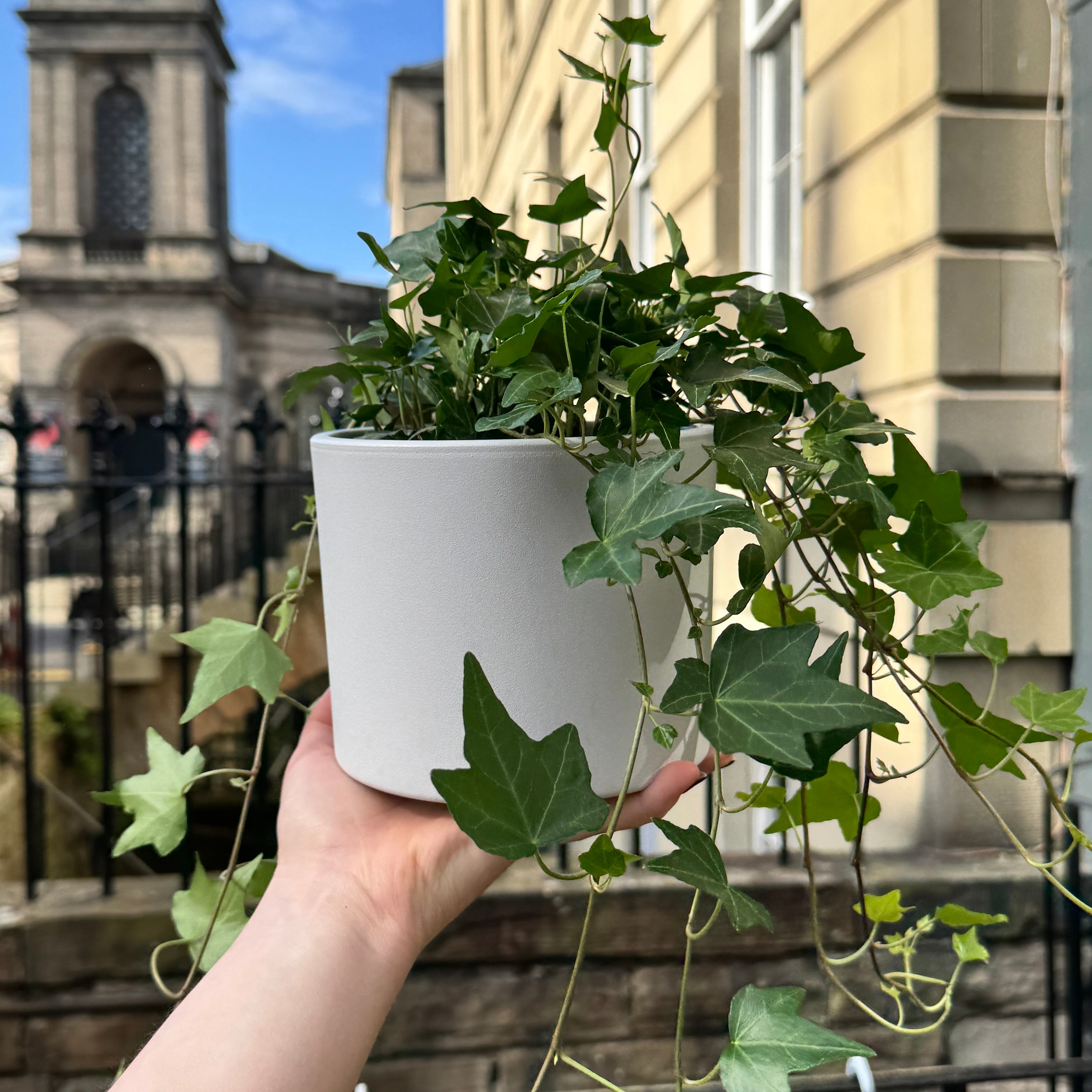 Matt Pot - White | 15cm