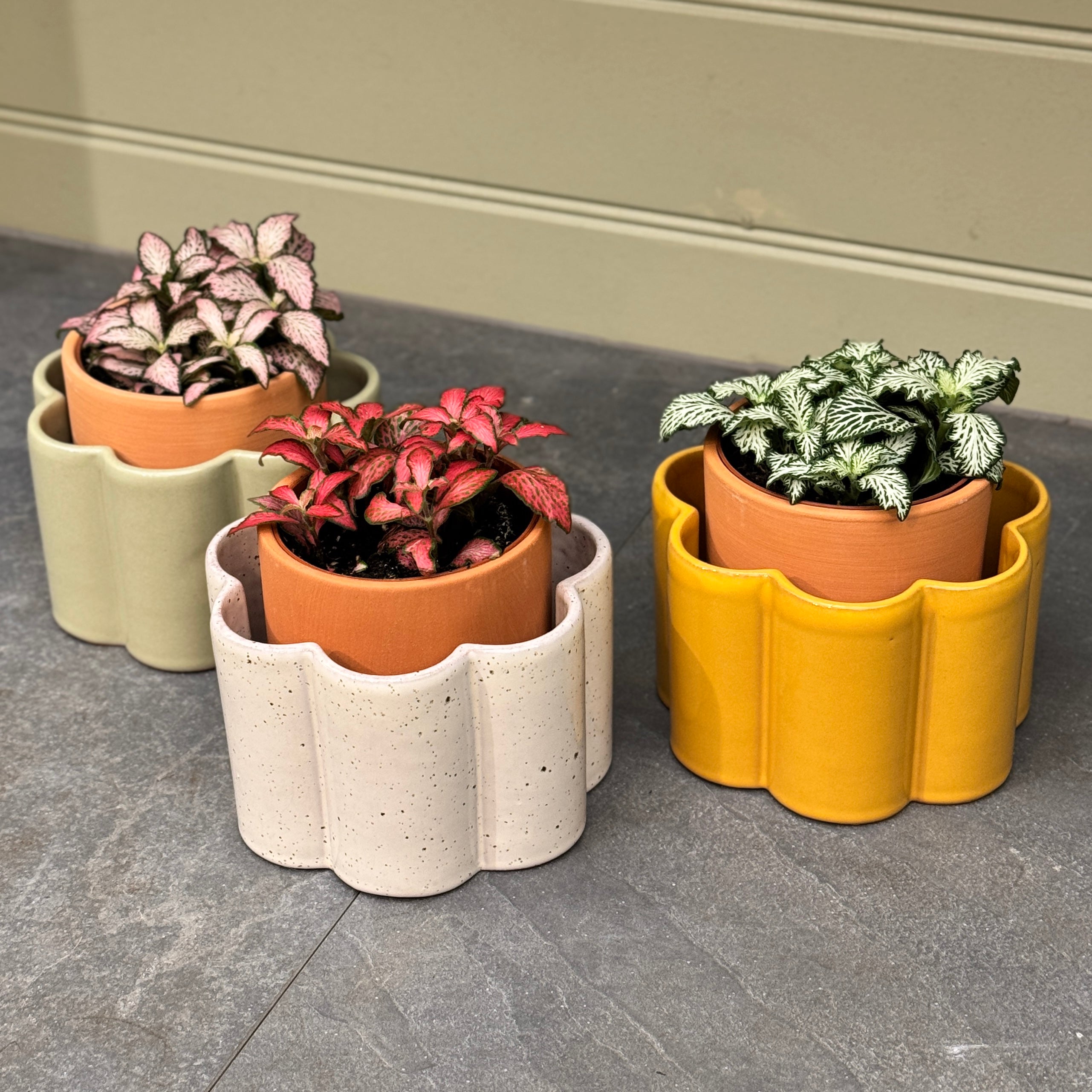 Pepin Paulita Self-Watering Pot