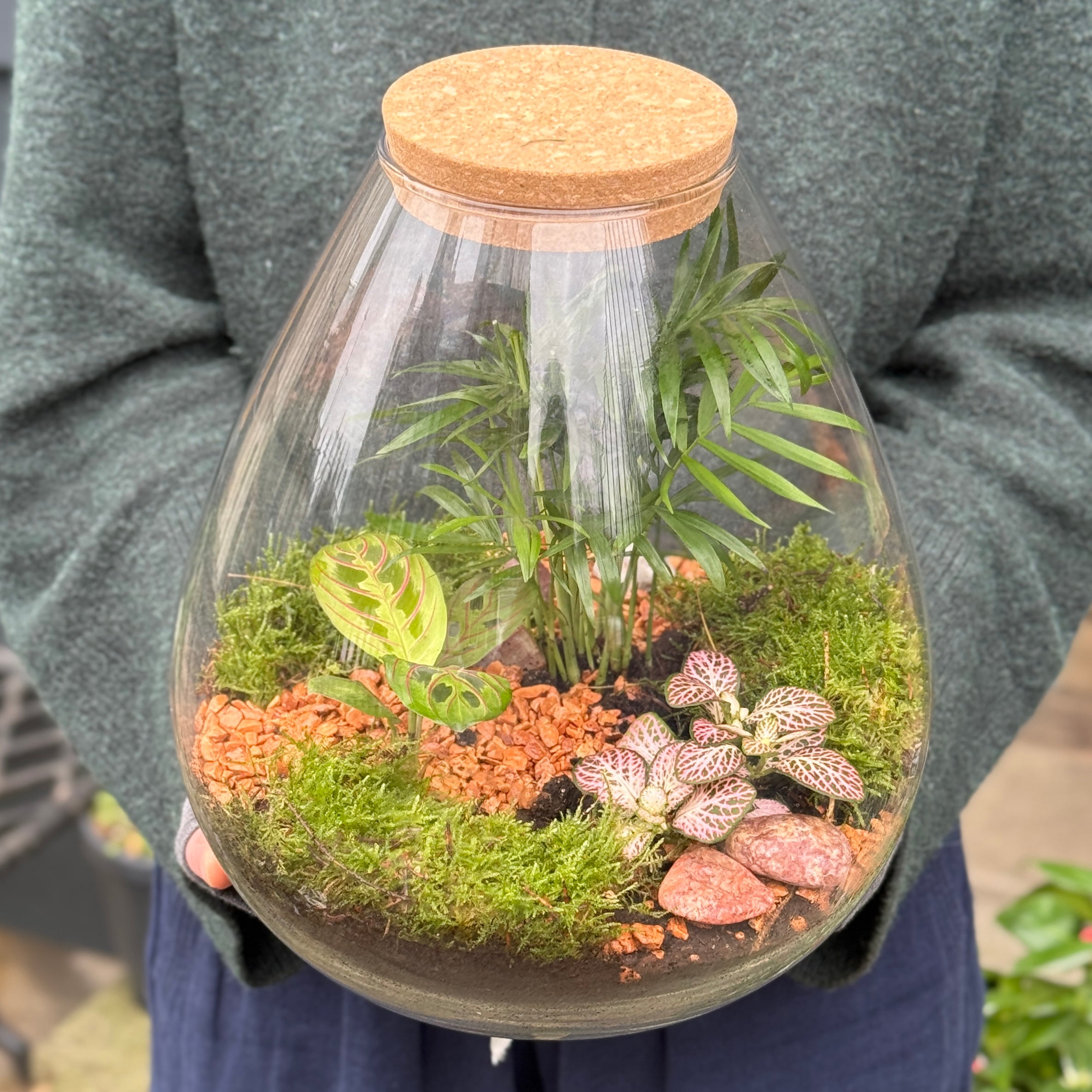 Pear Terrarium