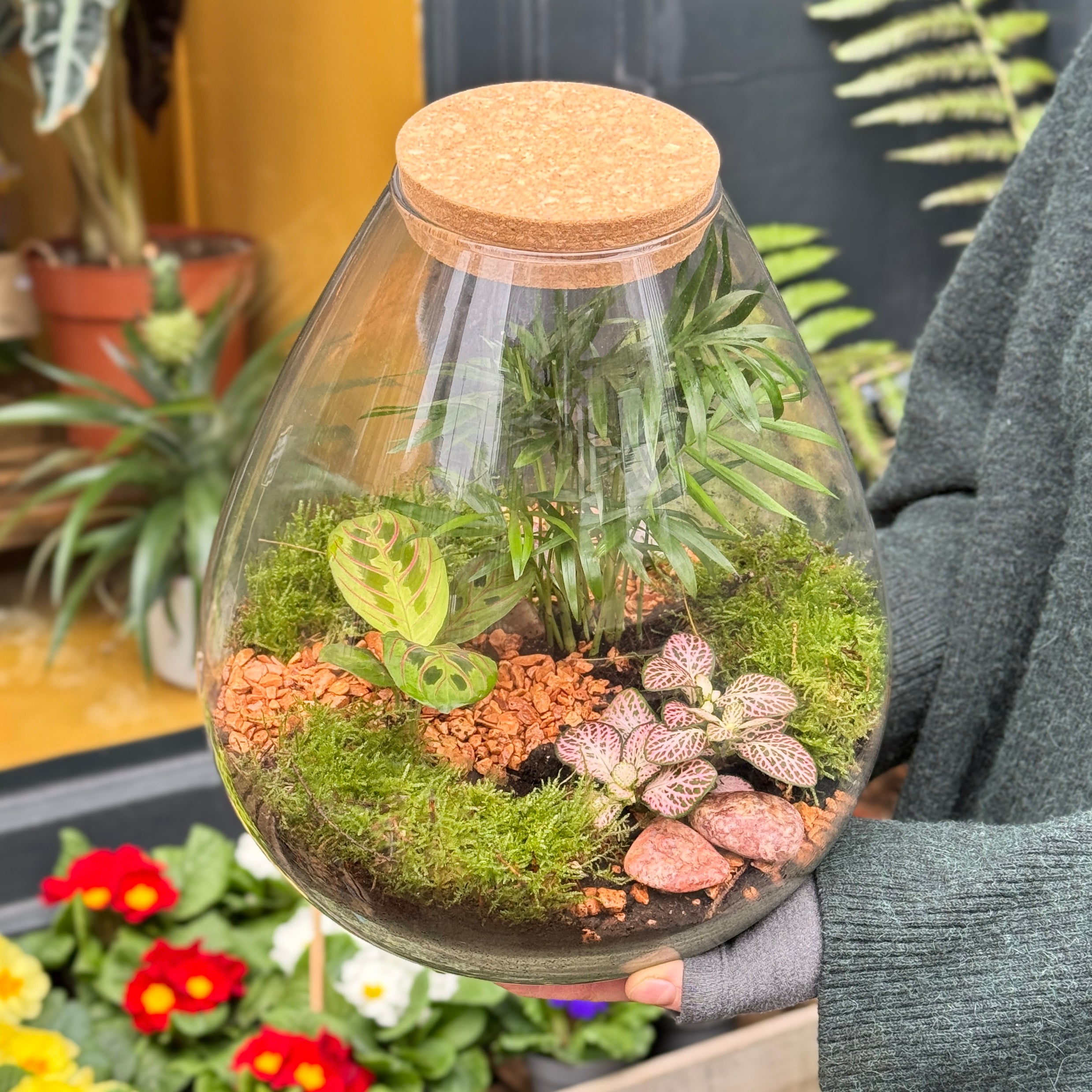 Pear Terrarium
