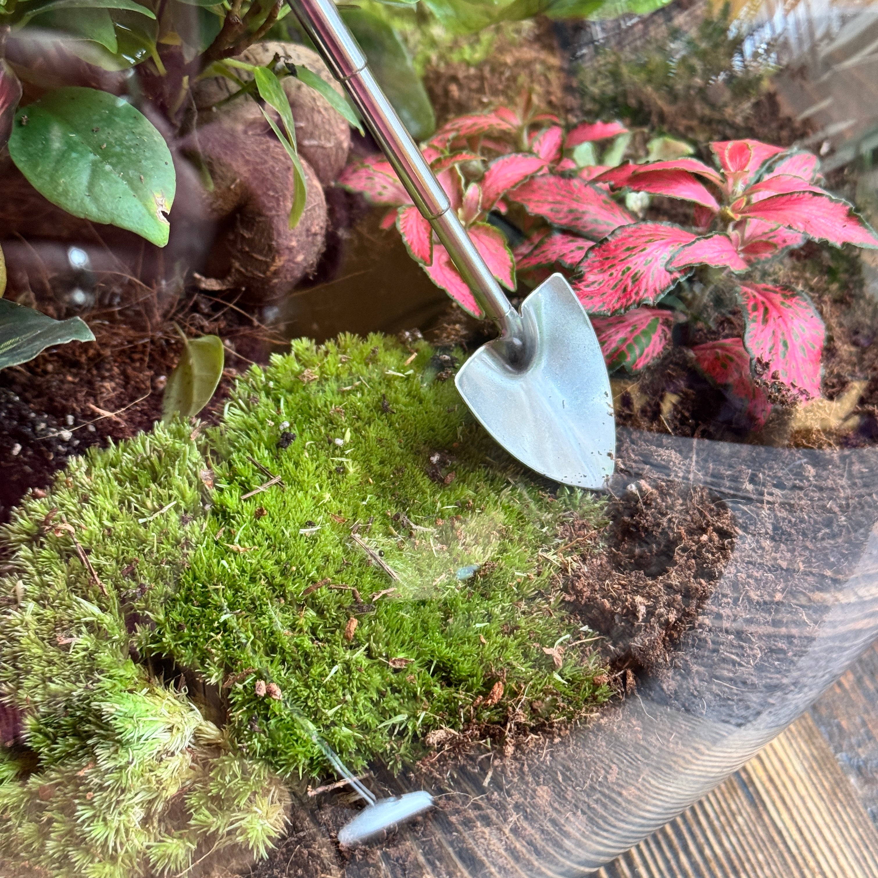 Terrarium Tools