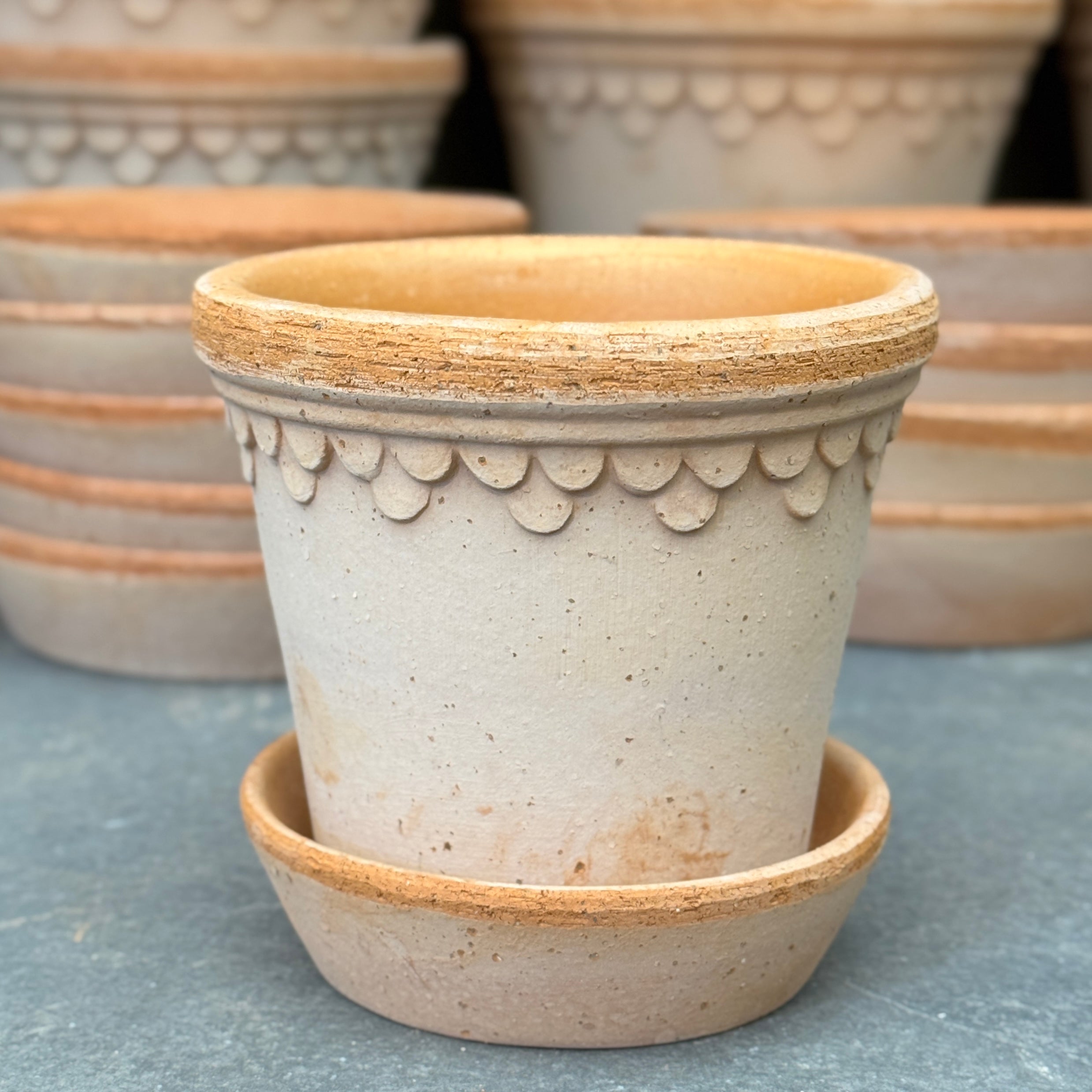 Bergs Potter Copenhagen Pot & Saucer Set - Rosa Terracotta