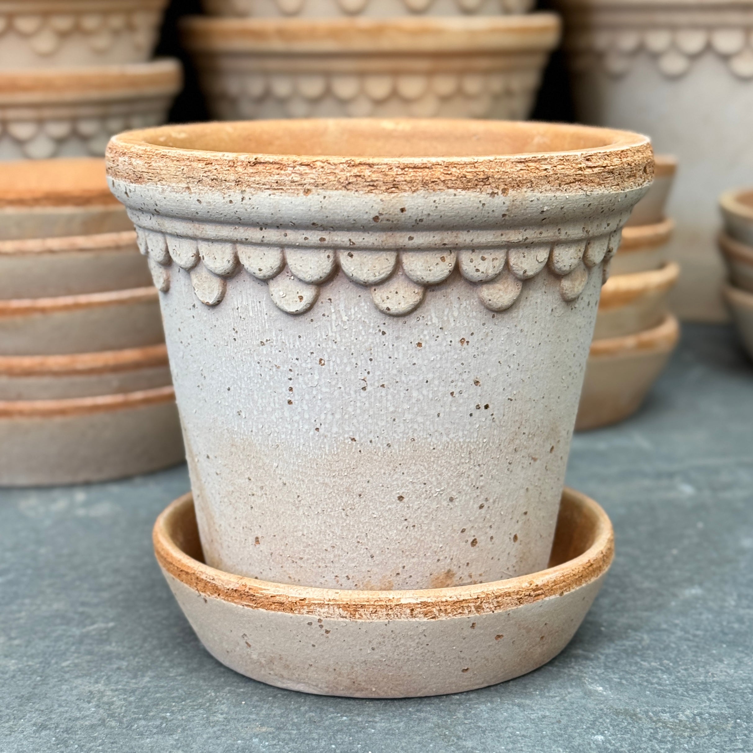 Bergs Potter Copenhagen Pot & Saucer Set - Rosa Terracotta