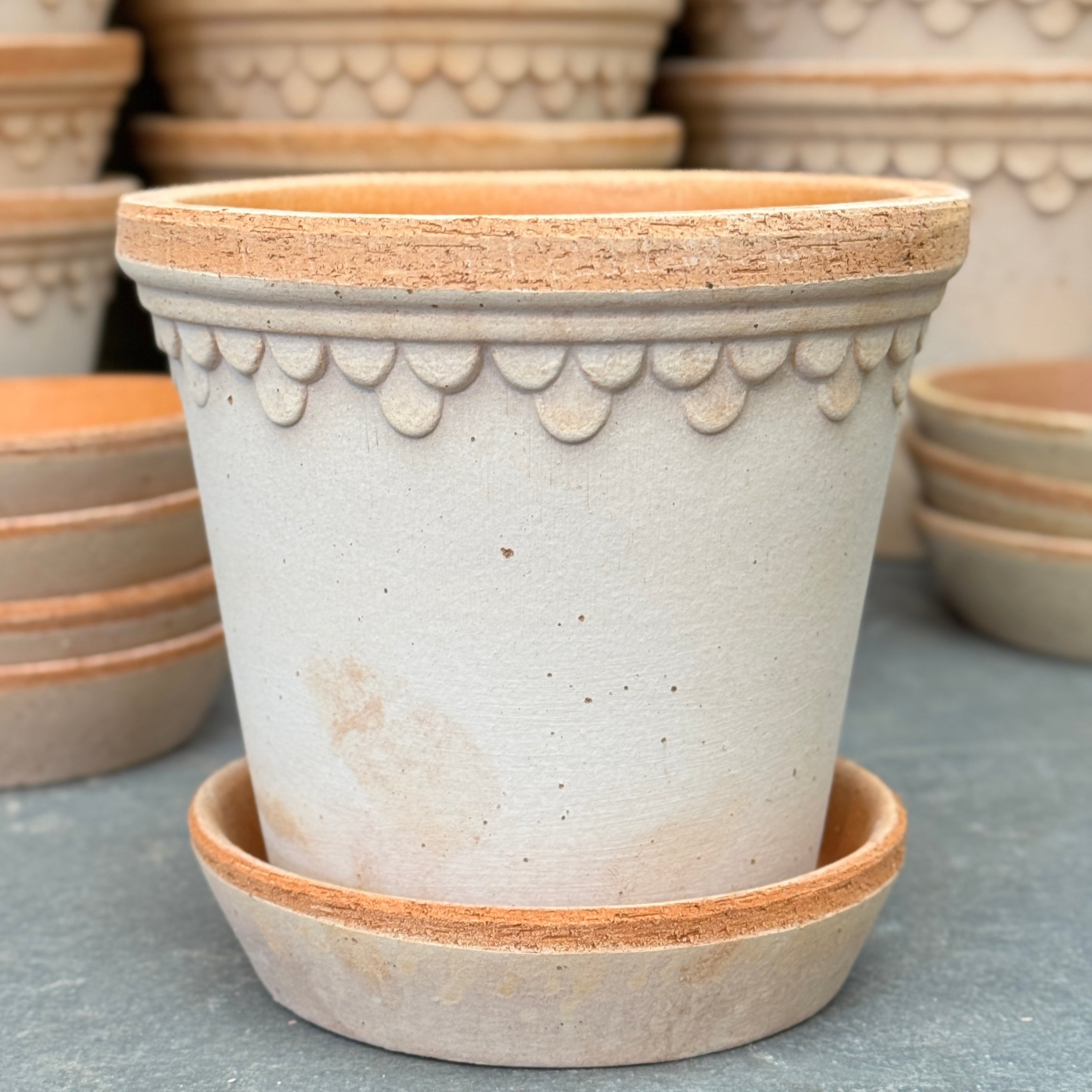 Bergs Potter Copenhagen Pot & Saucer Set - Rosa Terracotta