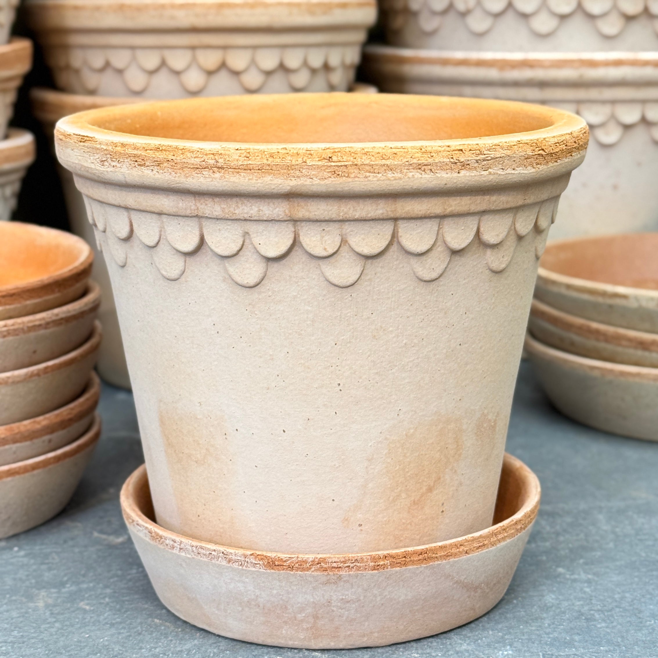 Bergs Potter Copenhagen Pot & Saucer Set - Rosa Terracotta