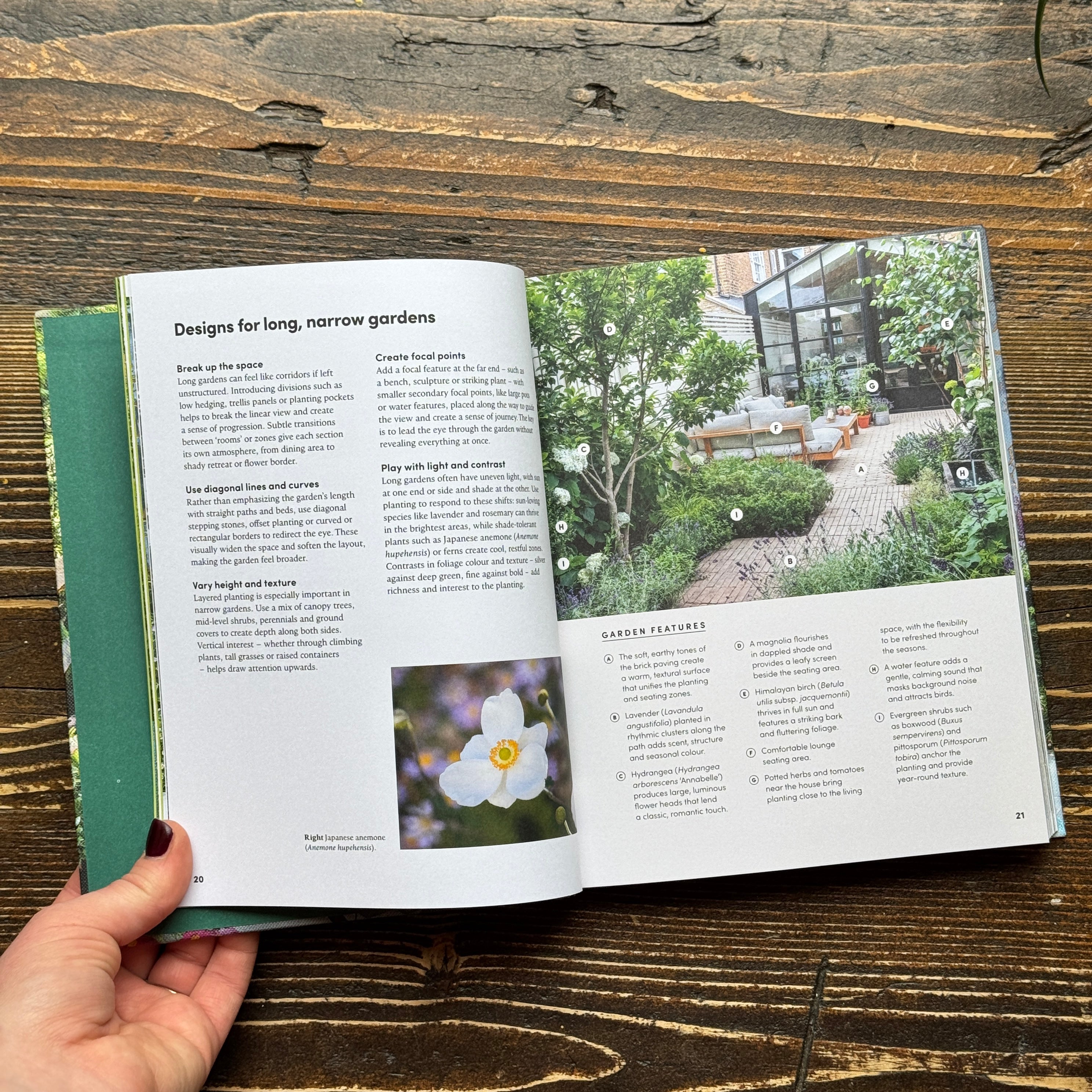 Small Garden Envy: Inspiration & Ideas for Compact Gardens
