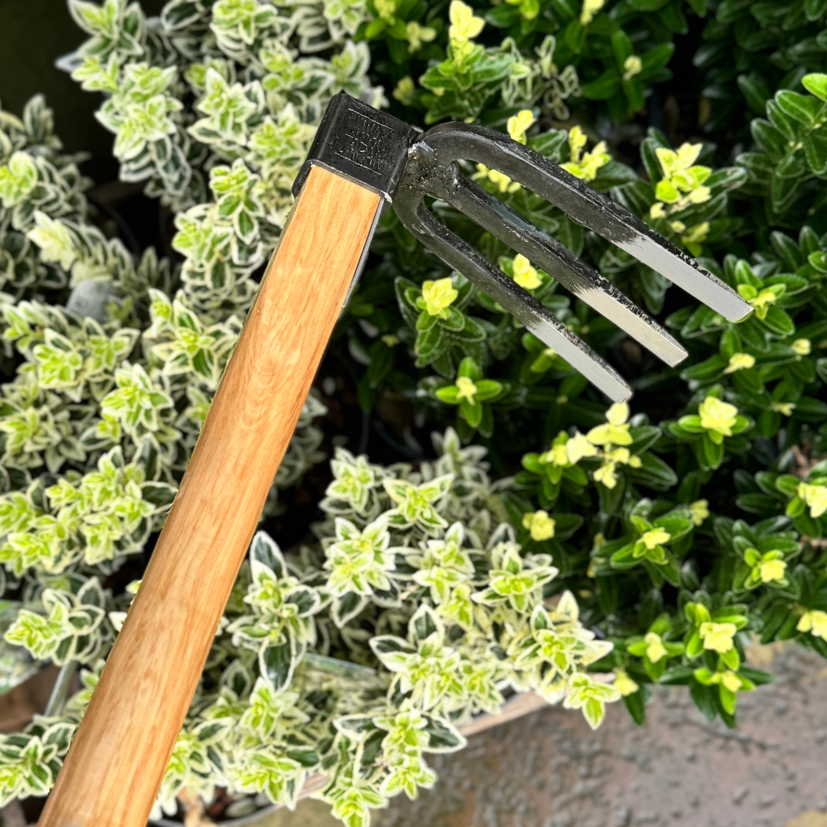 Niwaki Forked Hand Hoe
