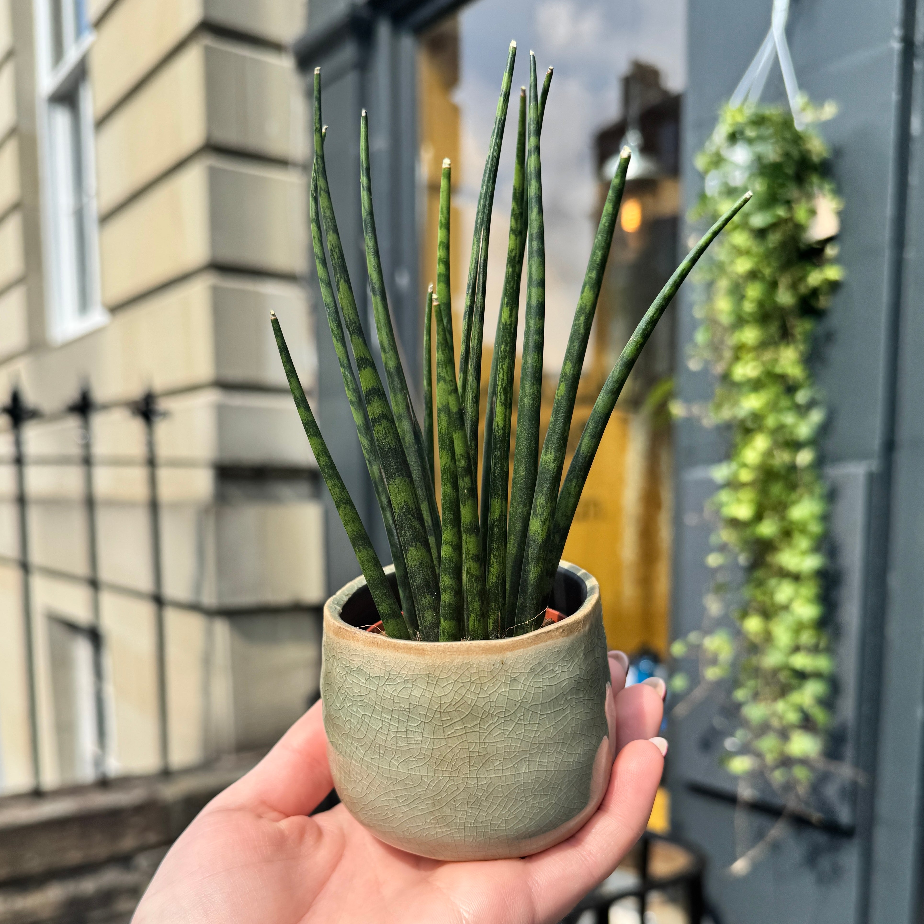 Crackle Glaze Pot - Mint | 8cm