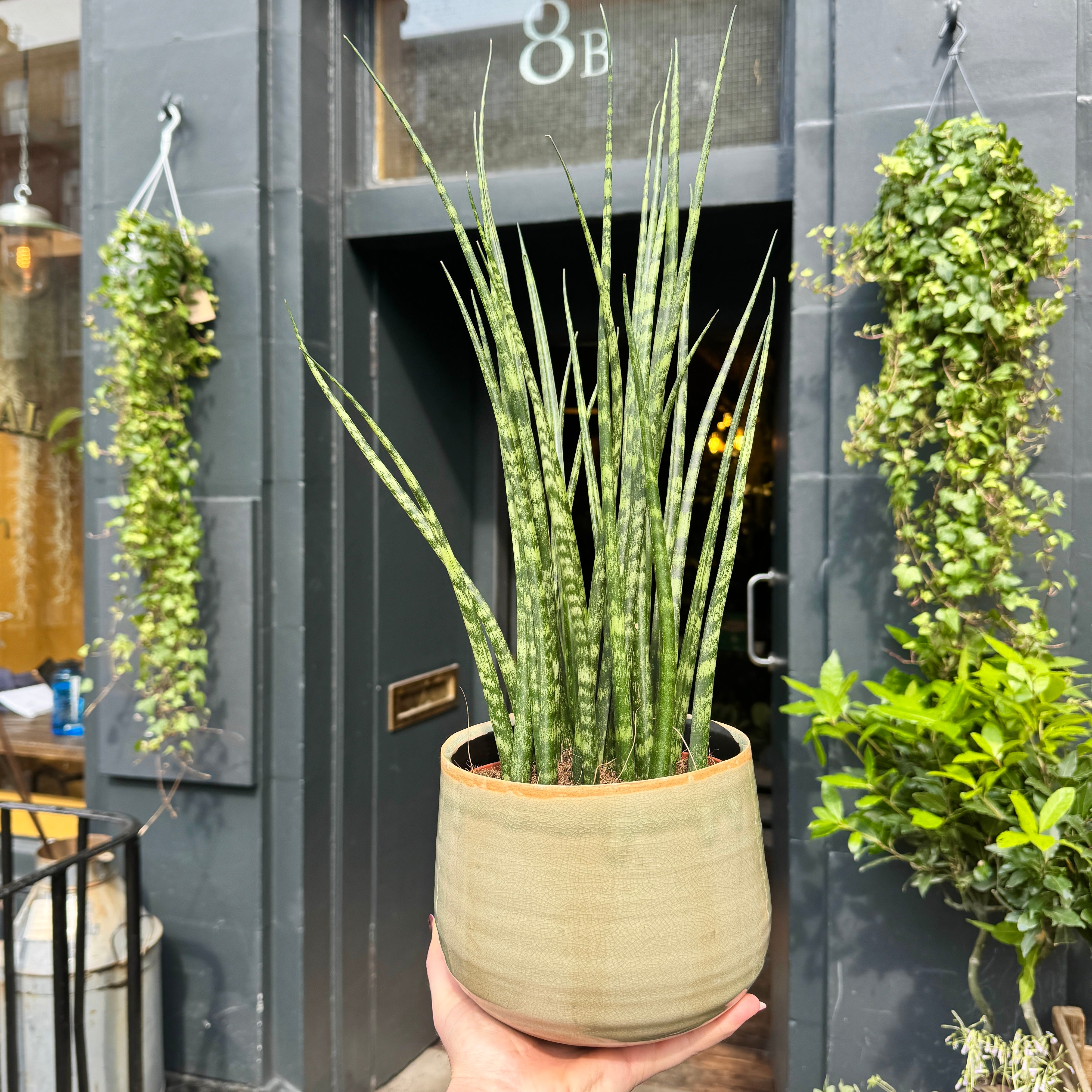 Crackle Glaze Pot - Mint | 16cm